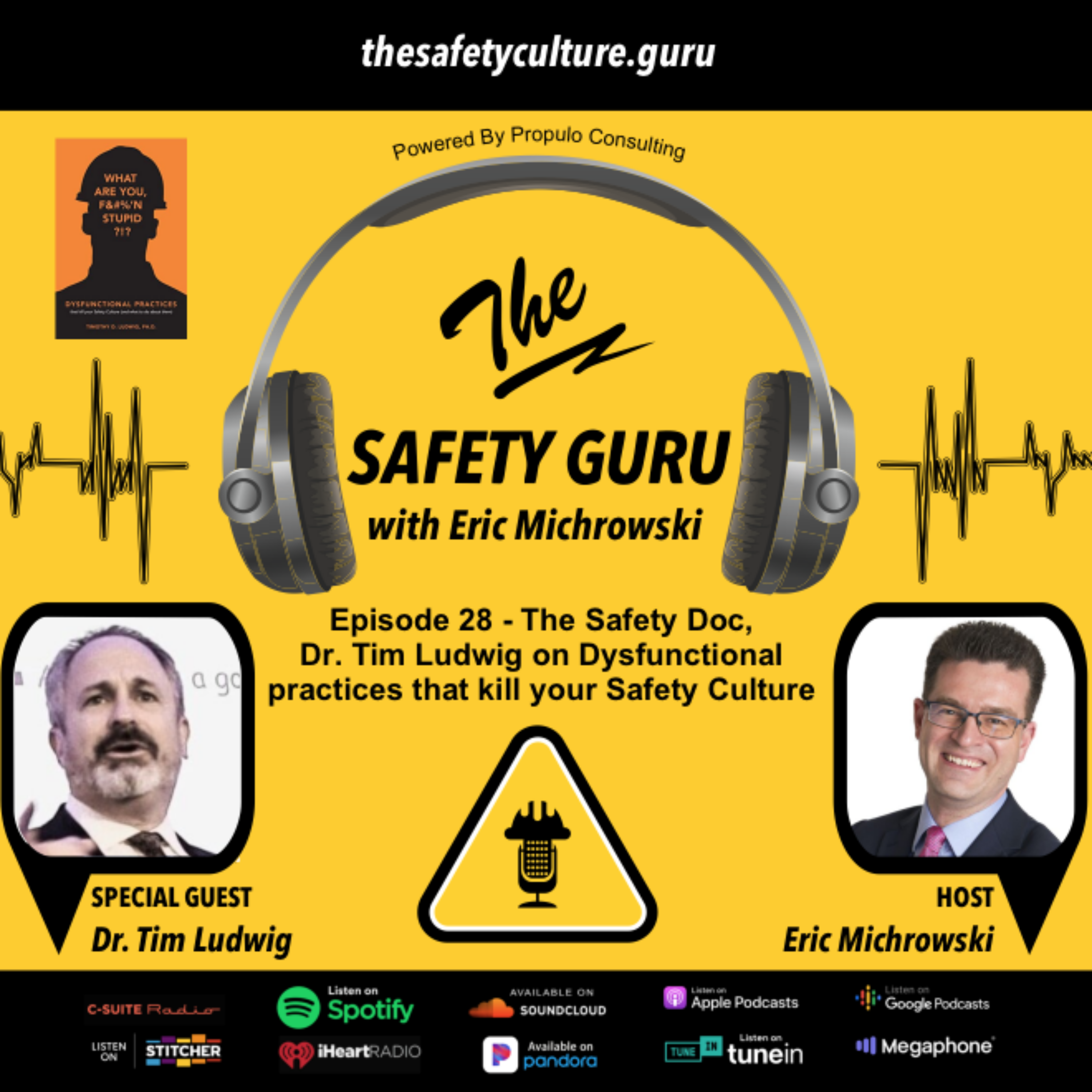 The Safety Guru