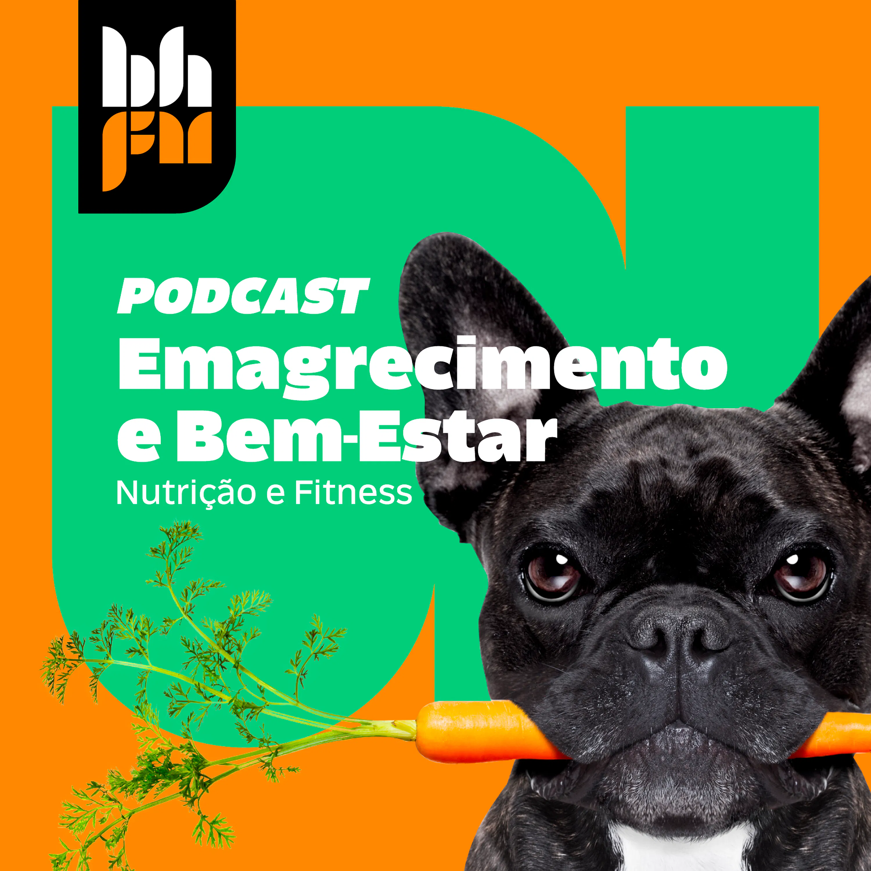 Motivos silenciosos que sabotam o emagrecimento feminino episode artwork