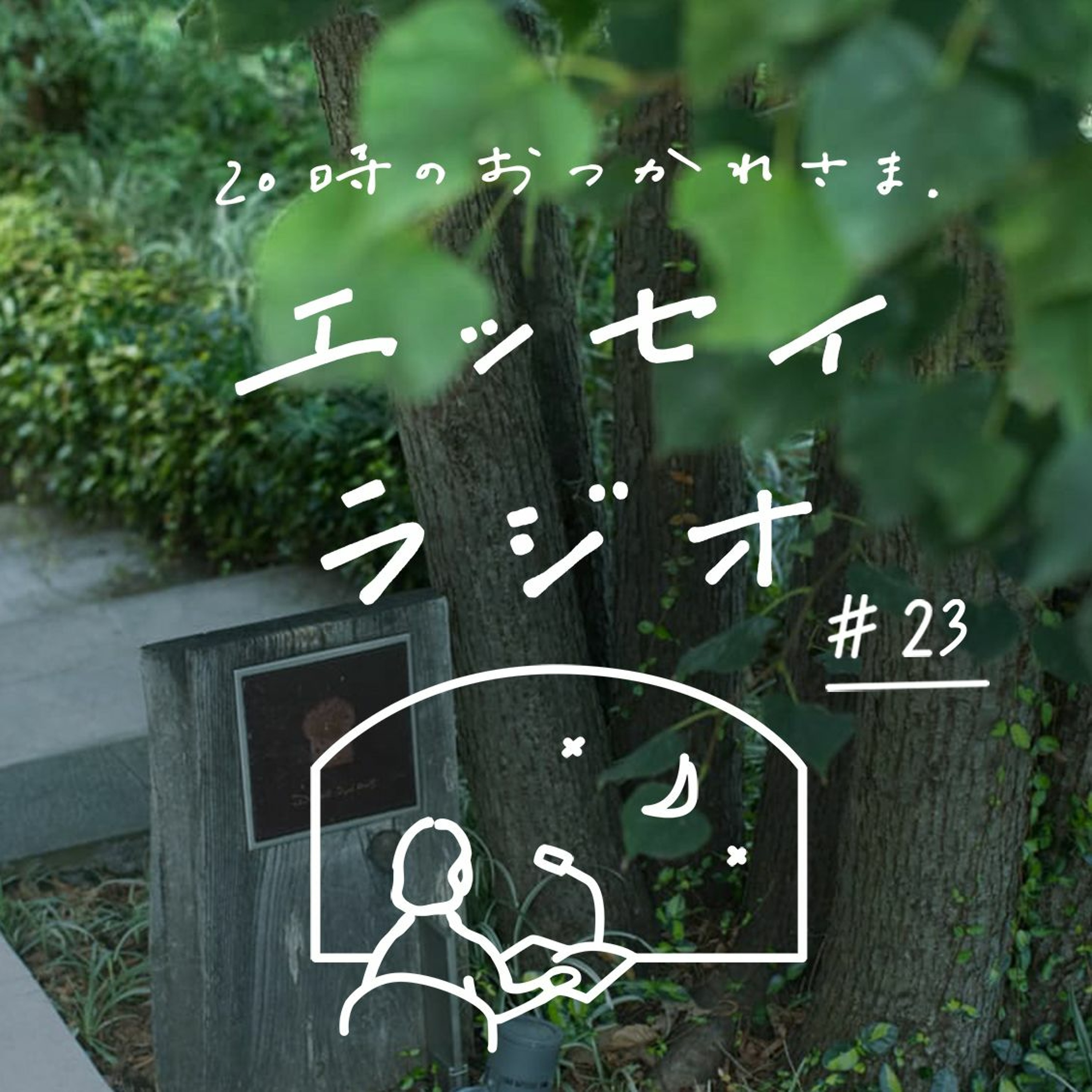「どんなときも」（書き手：引田 かおりさん）