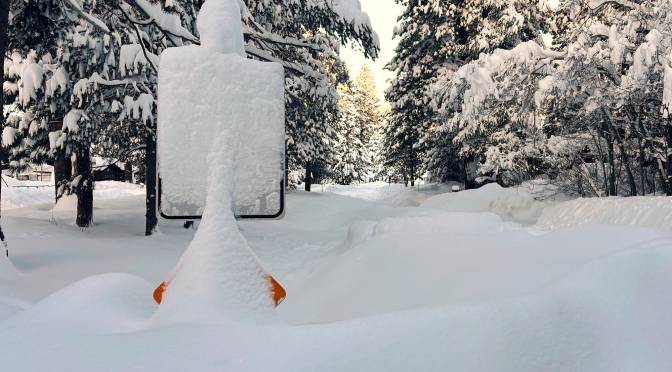 Eight Dead, One Still Missing Following Tahoe-Area Avalanche