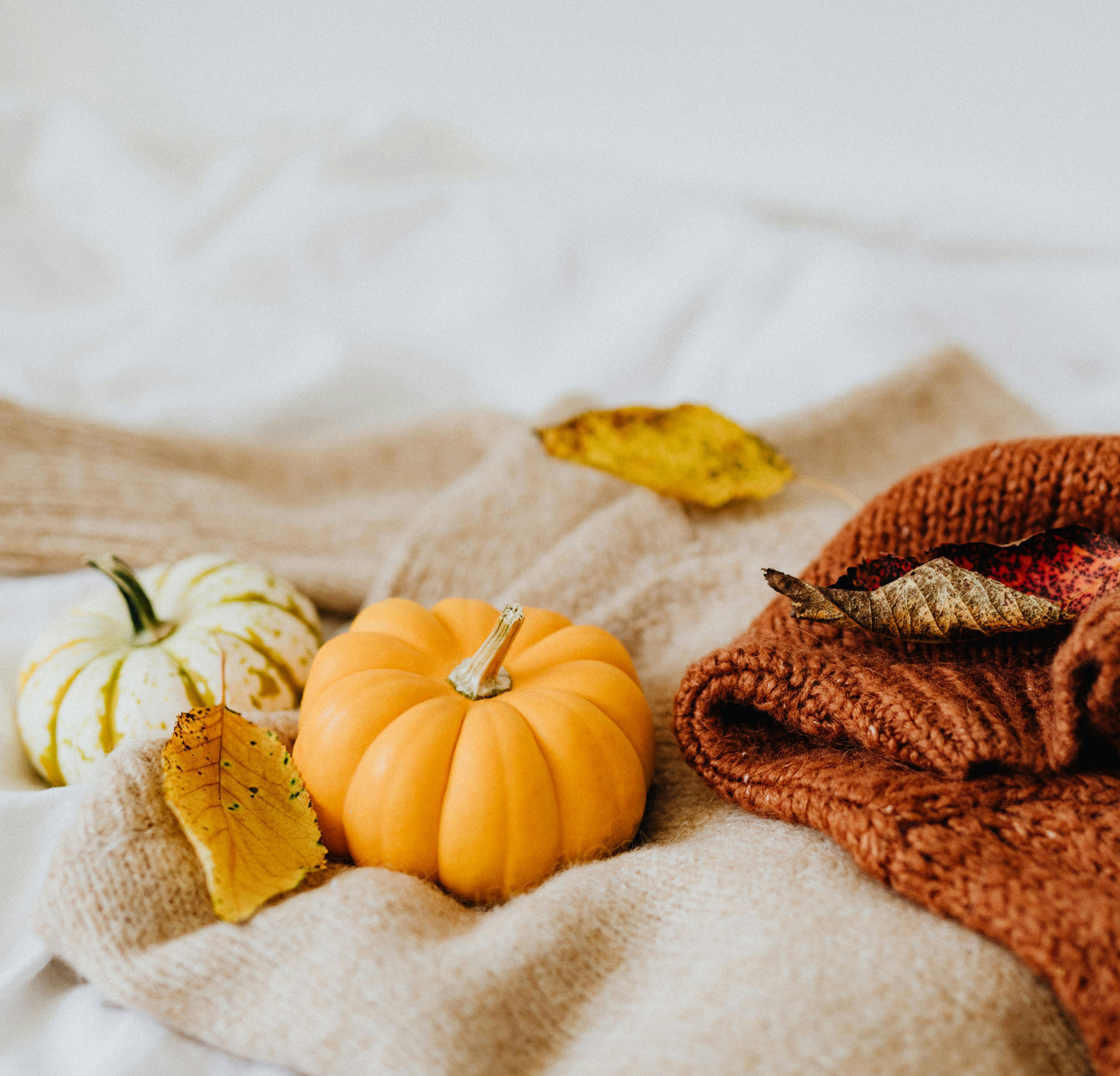 The Best Fall Events in Houston for Under $20 episode artwork