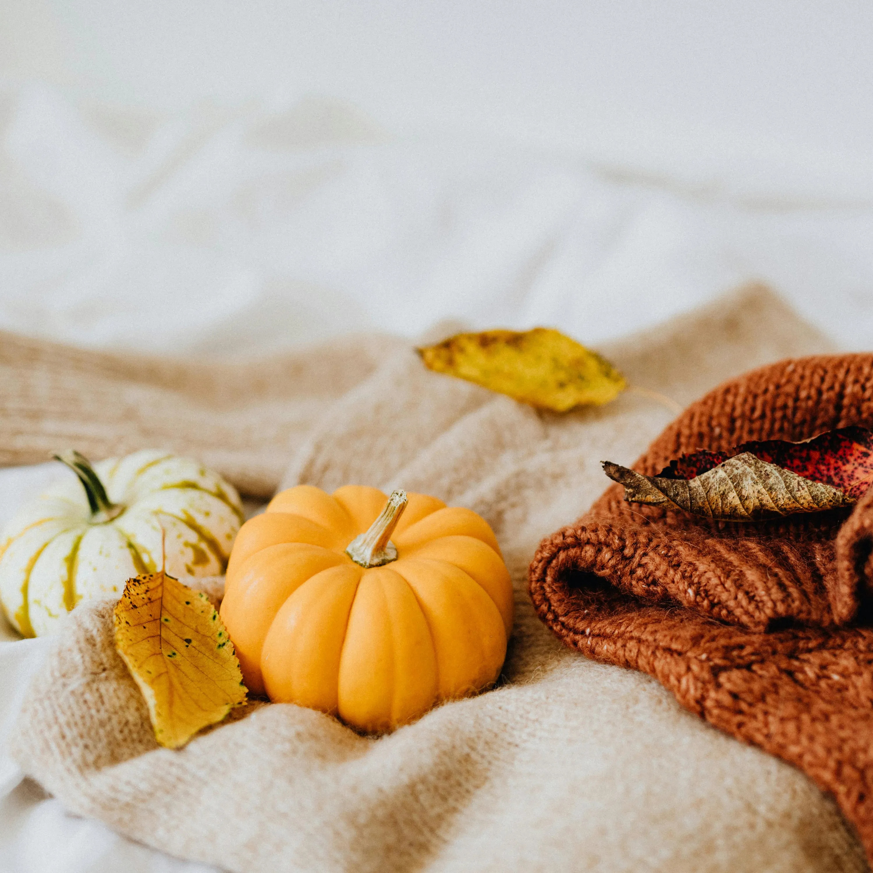 The Best Fall Events in Houston for Under $20 episode artwork