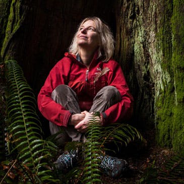 Forest Wisdom, Mother Trees and the Science of Community | Suzanne Simard