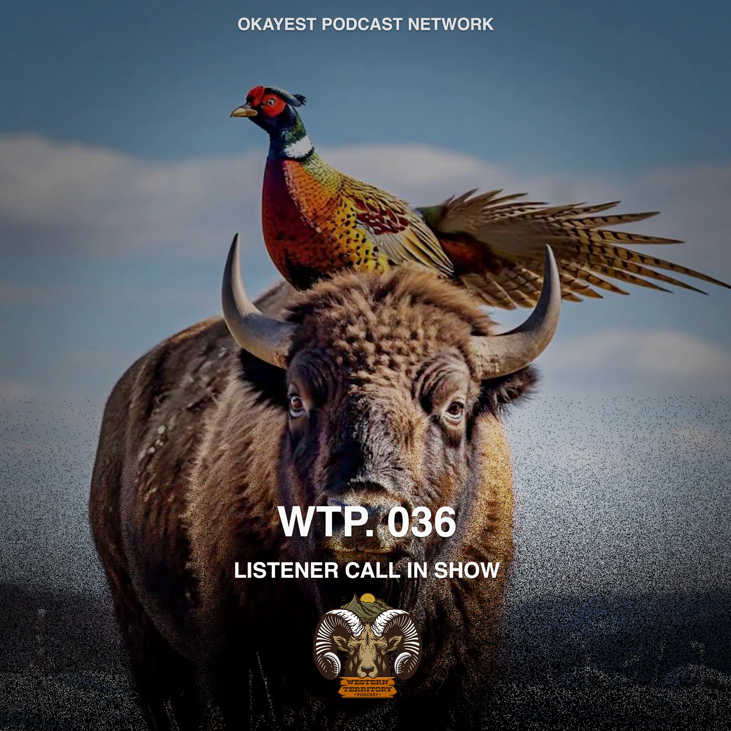 Listener Call in Show Jan 2025 episode artwork