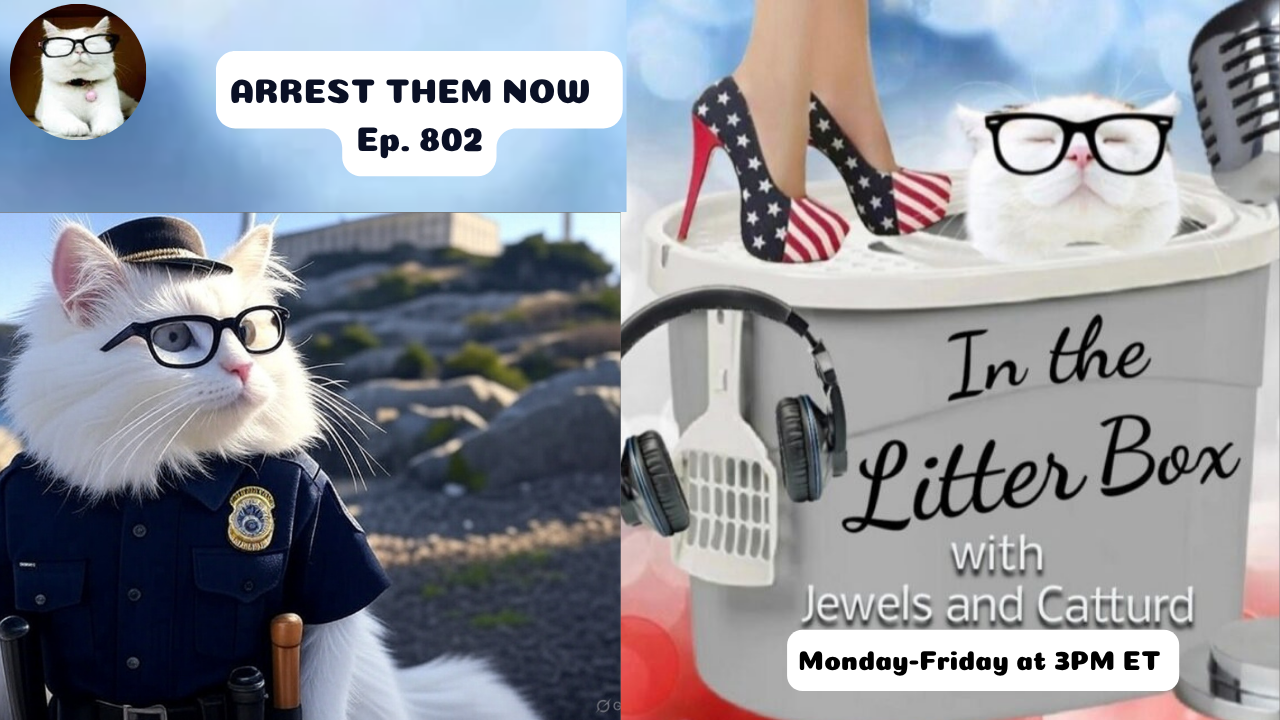 ARREST THEM NOW | In the Litter Box w/ Jewels & Catturd – Ep. 802 – 5/14/2025