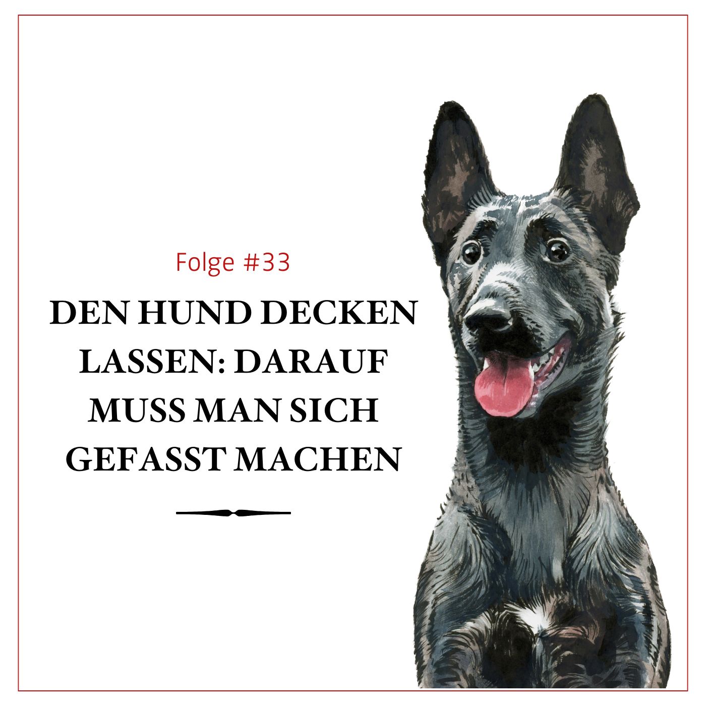 Hunde züchten: Was Herrl und Frauerl erwartet – #33