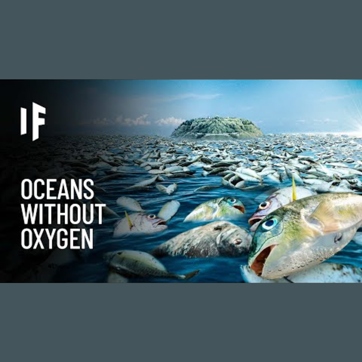 What If the Oceans Lose Oxygen episode artwork