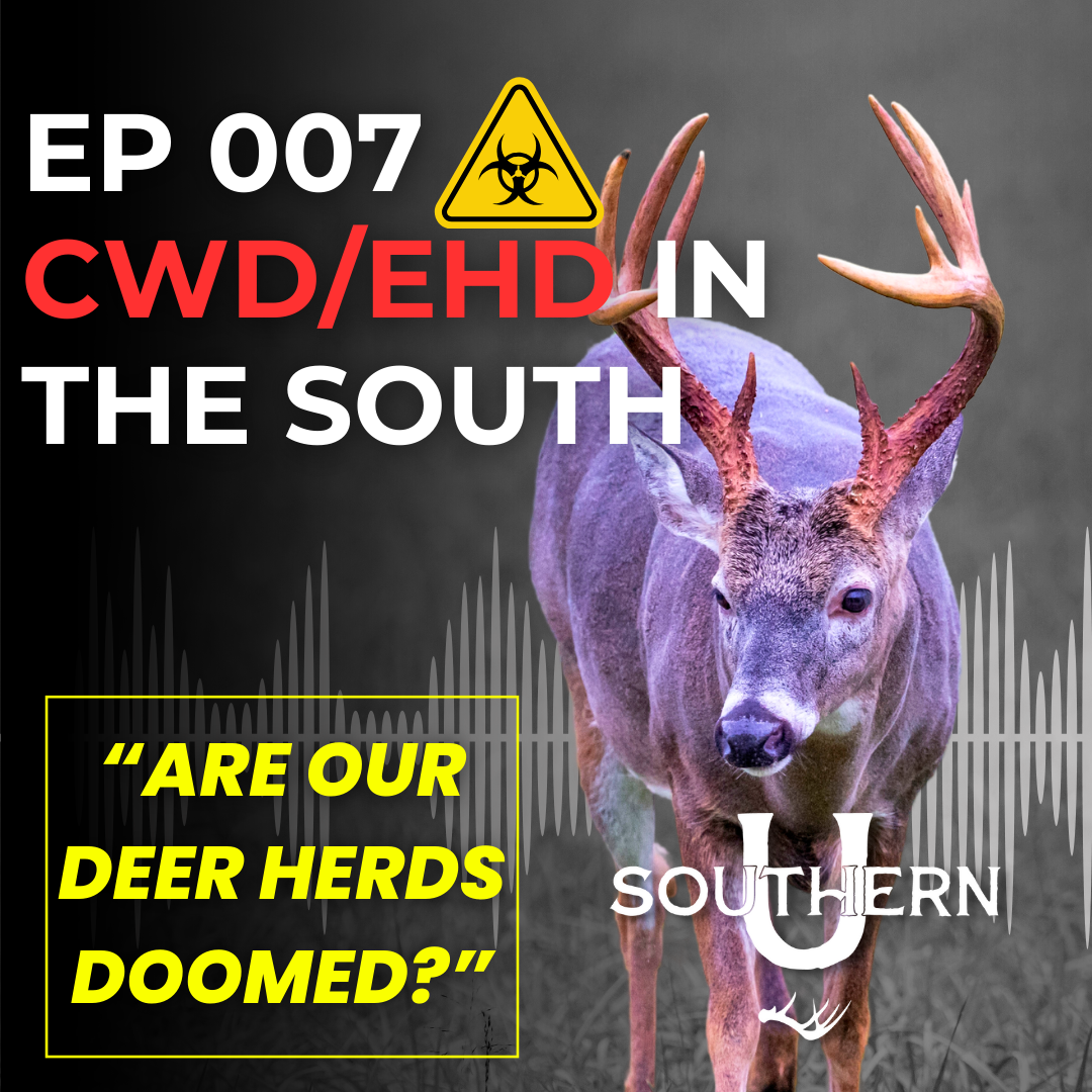 CWD/EHD In The South episode artwork