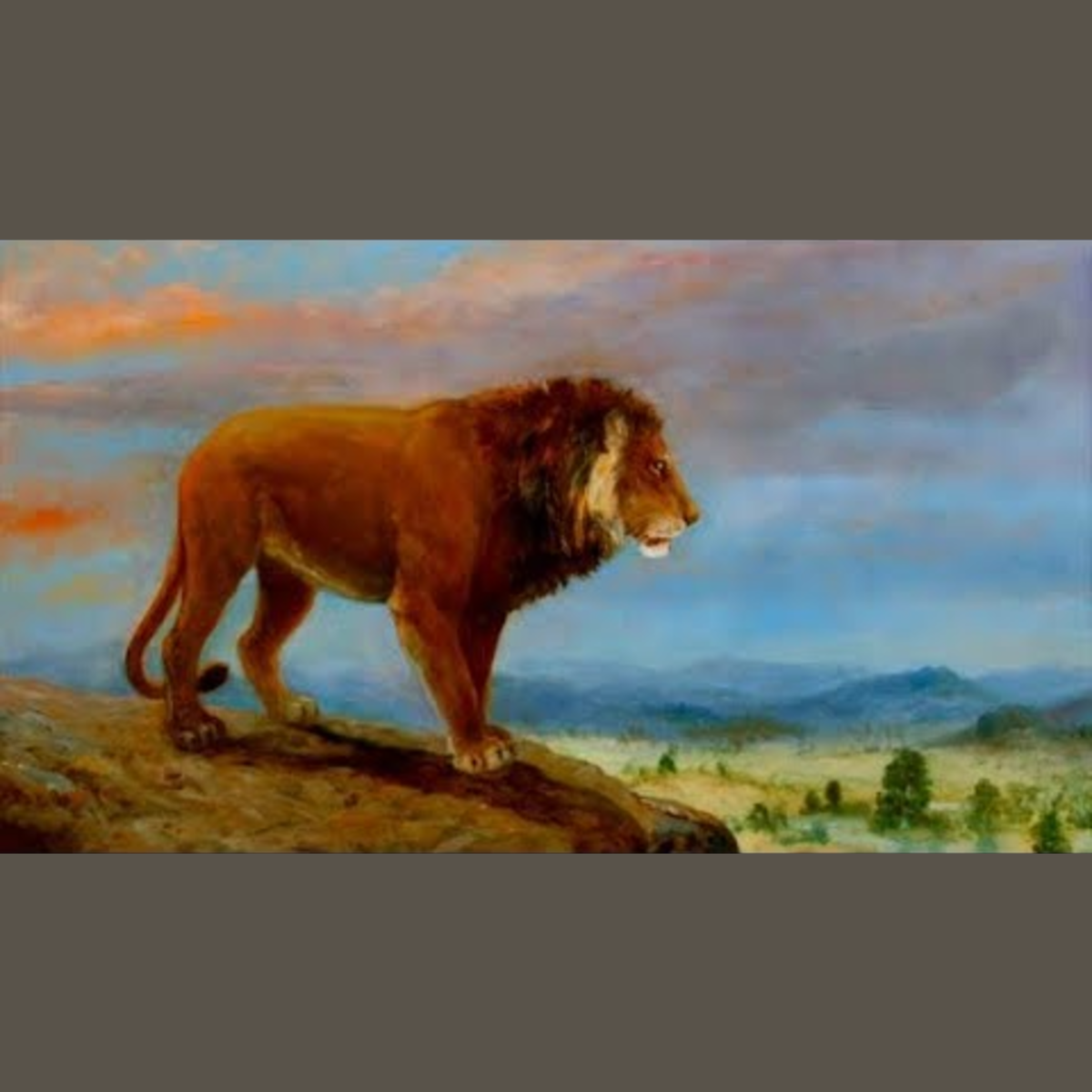 American Lion - Ancient Animal episode artwork