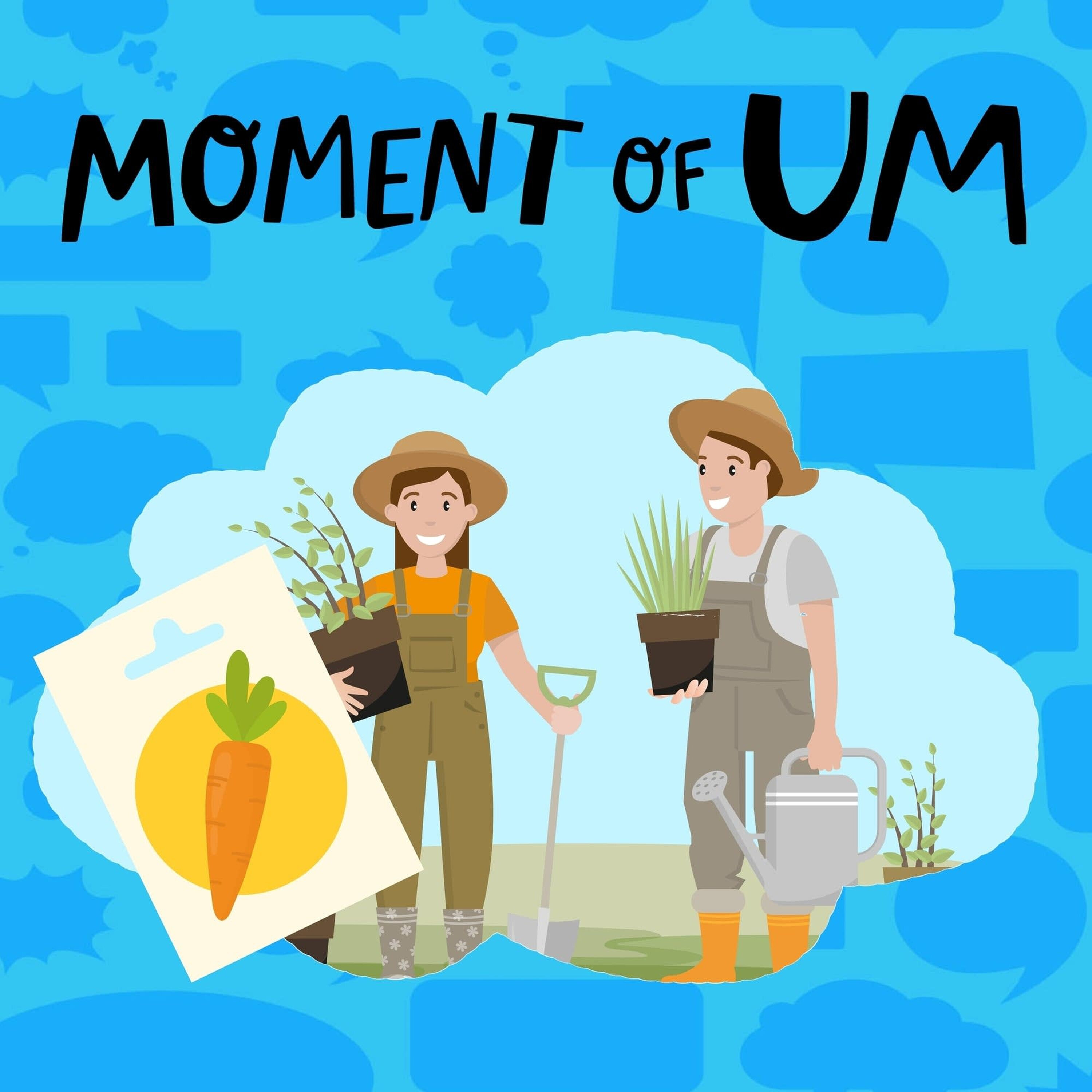 Where do carrot seeds come from?