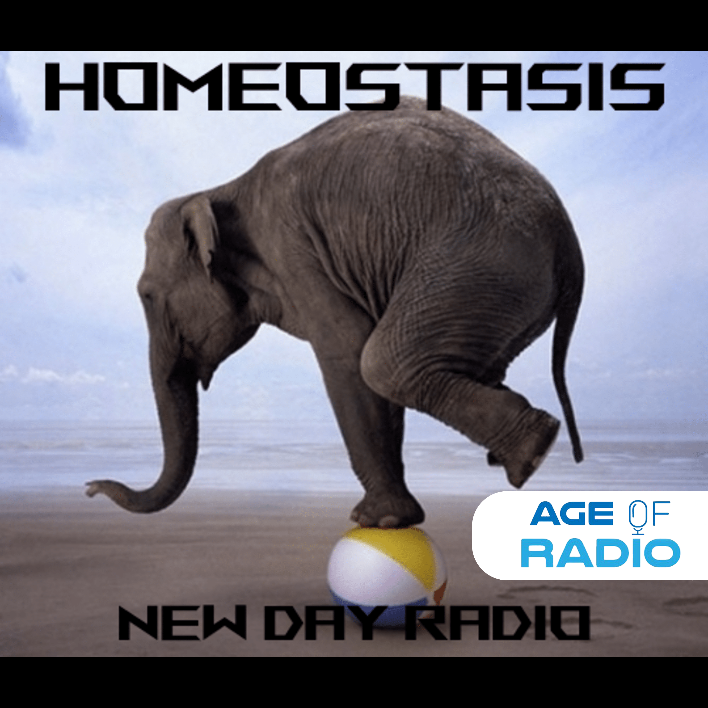 Homeostasis