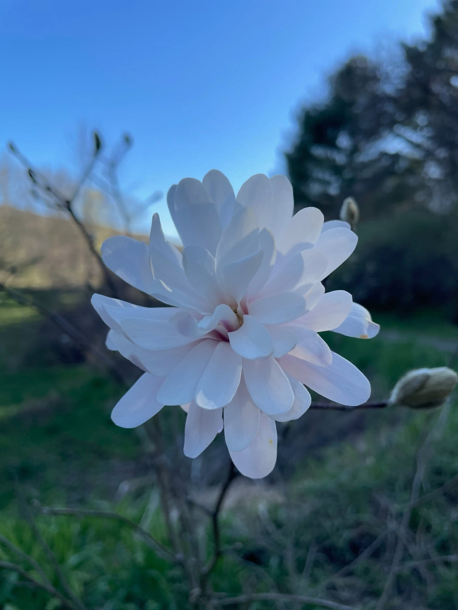 Episode 622 Featuring Almighty Todd - Homesteader, Winemaker, Sensei and Our Reluctant, Resident Philosopher episode artwork