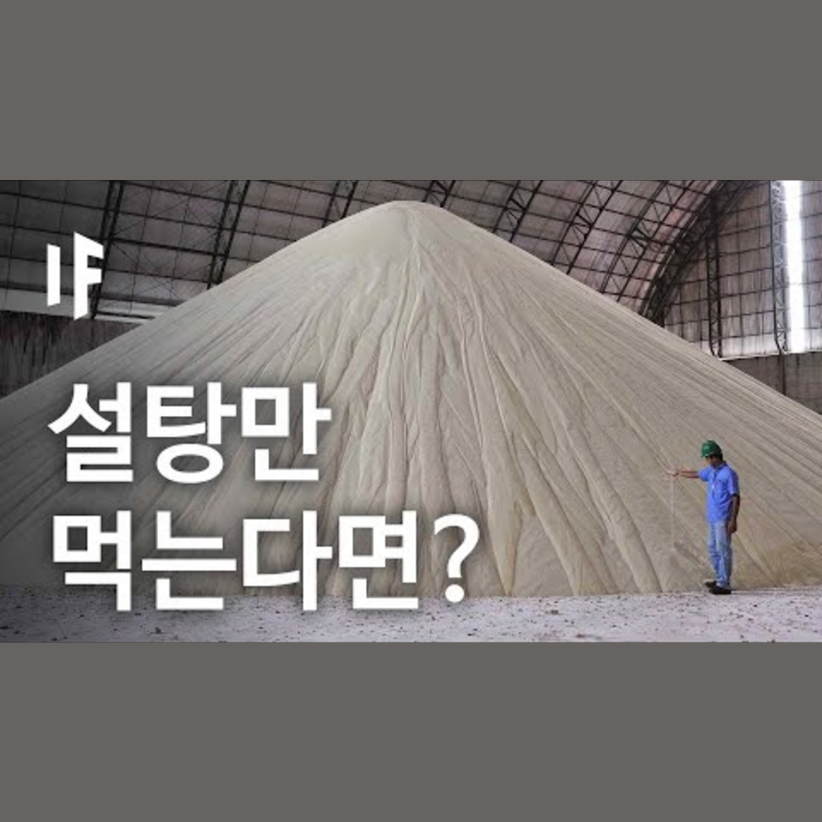 만약에 한 달 동안 설탕만 먹는다면? [한국어 더빙] | 만약에 What If Korea