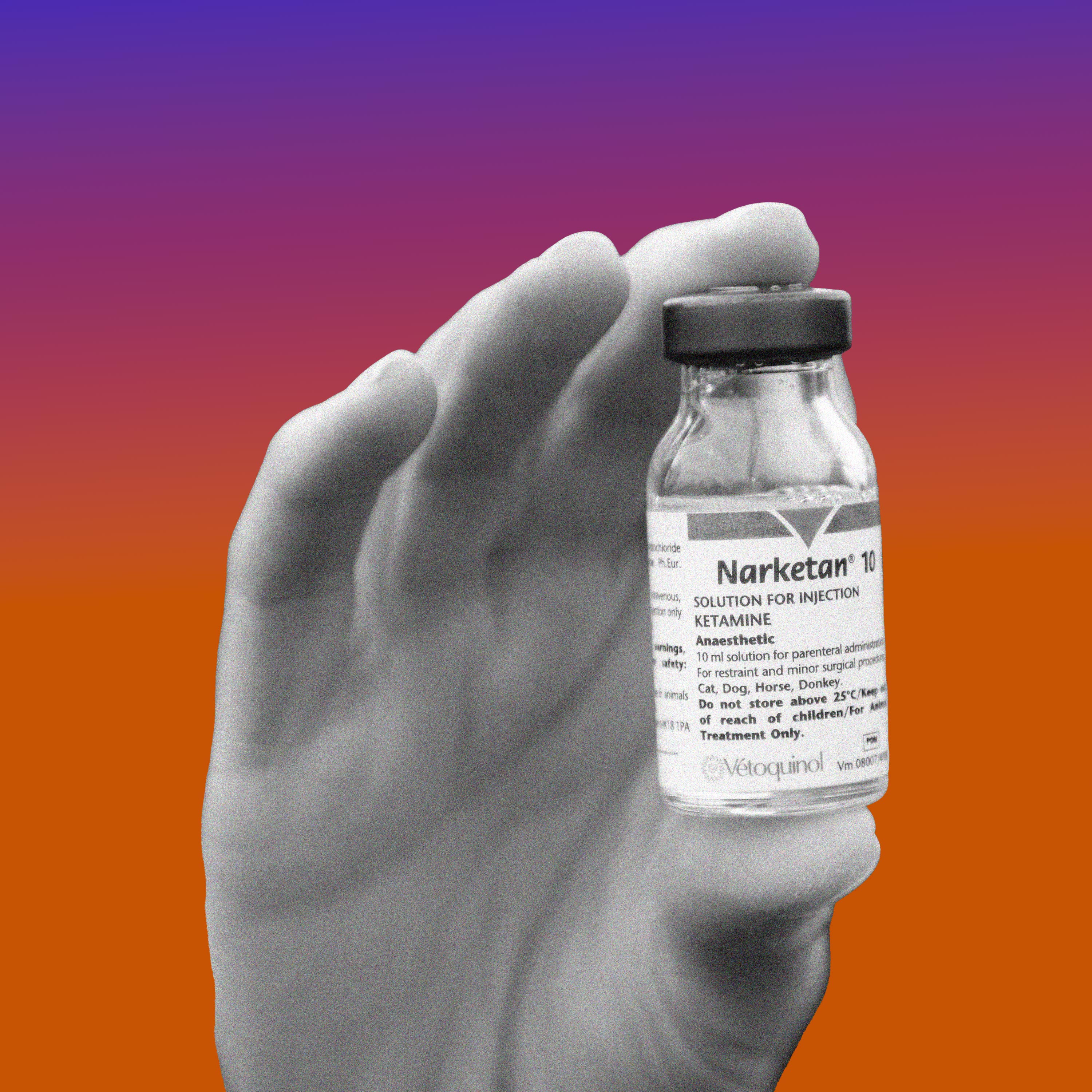 This Is Your Brain On Ketamine