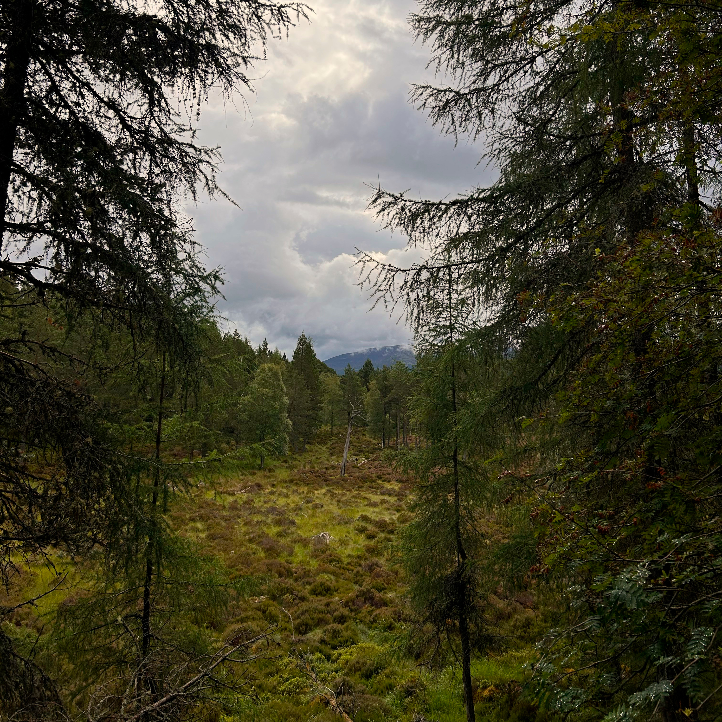 263. A journey through the Highlands of Scotland