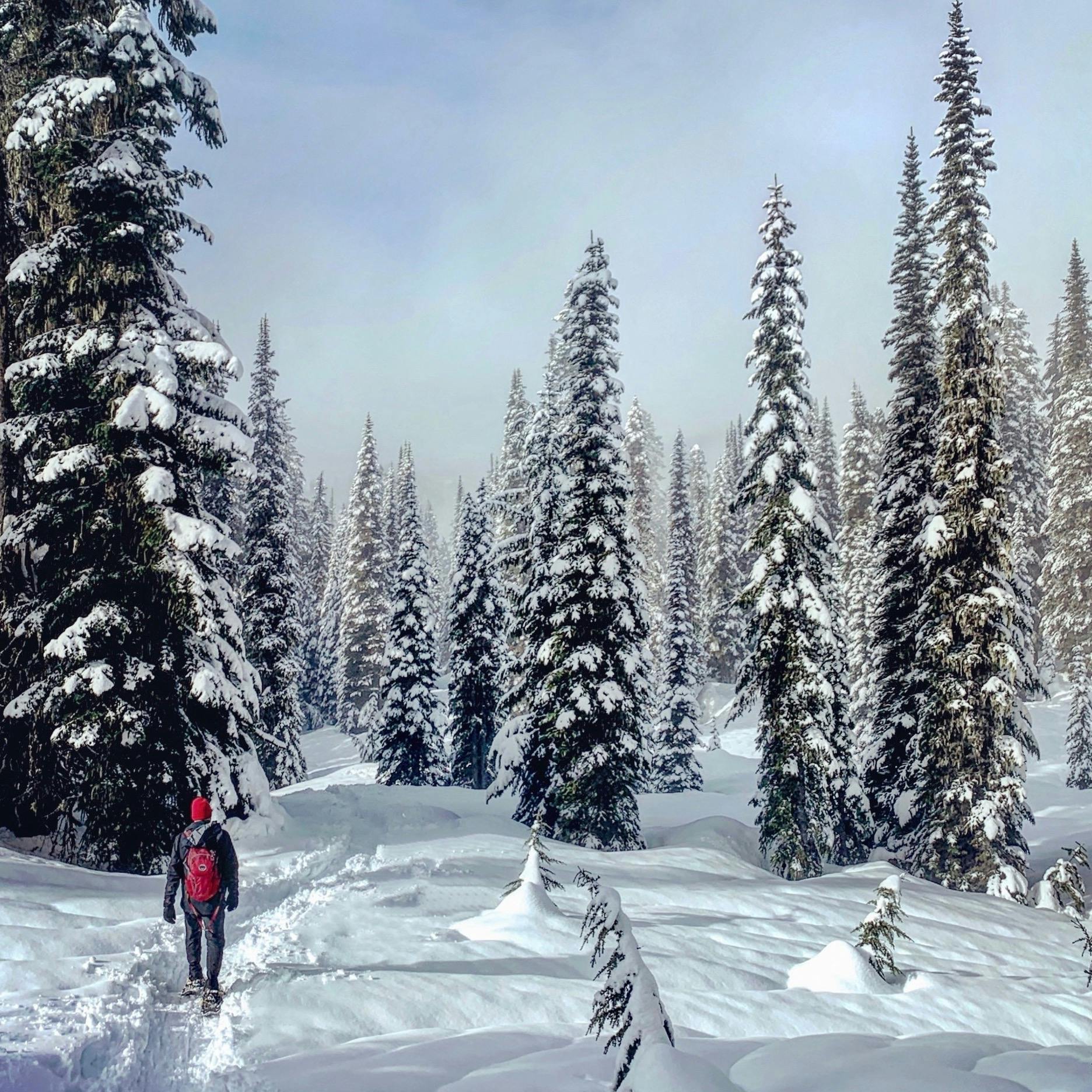 #103: Twelve Great National Parks for Snowshoeing