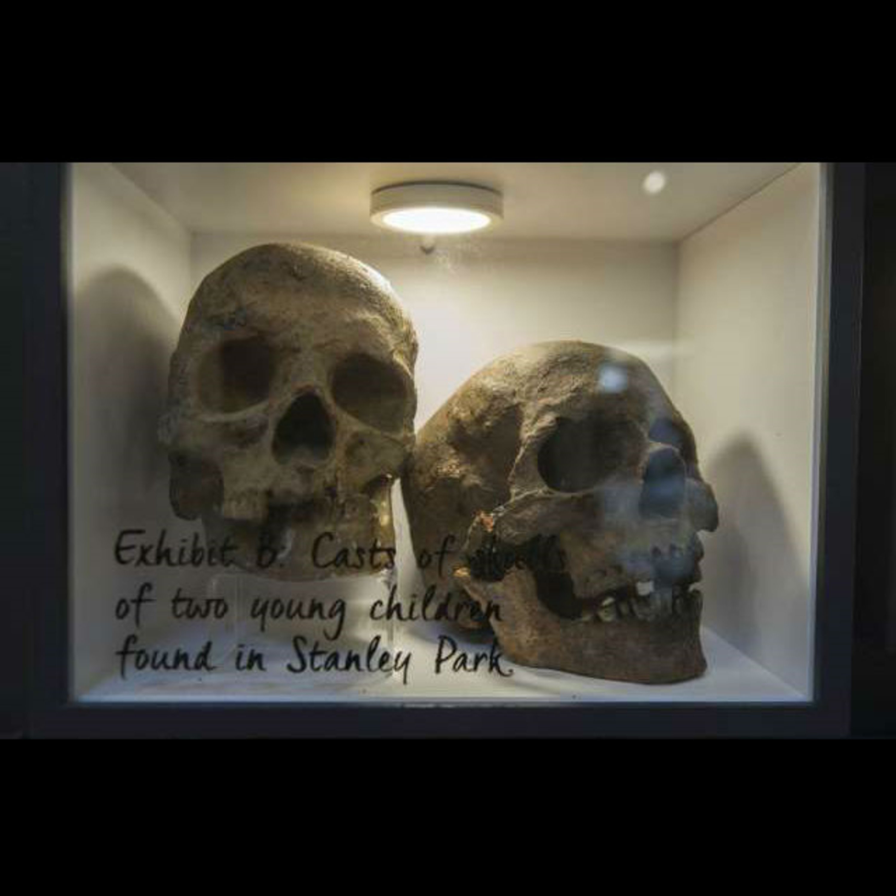 Babes in the Woods - Stanley Park (BC)