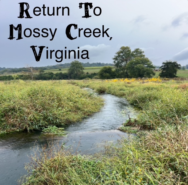 Return To Mossy Creek - Brown Trout, Terrestrials, And Hitchhikers