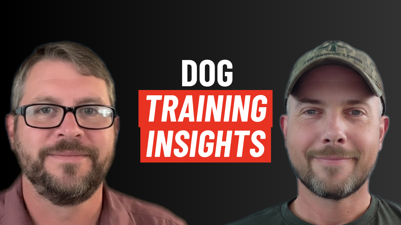 Companion Gundog Podcast