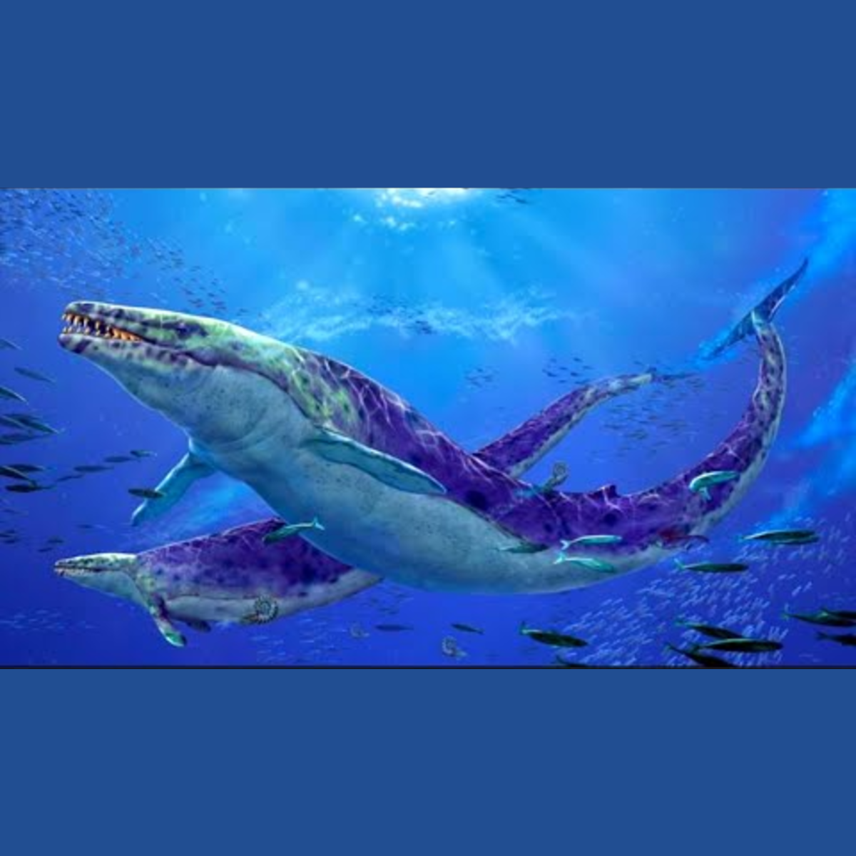 Basilosaurus - Ancient Animal episode artwork