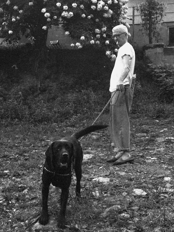 What the HELL Were You Thinking?