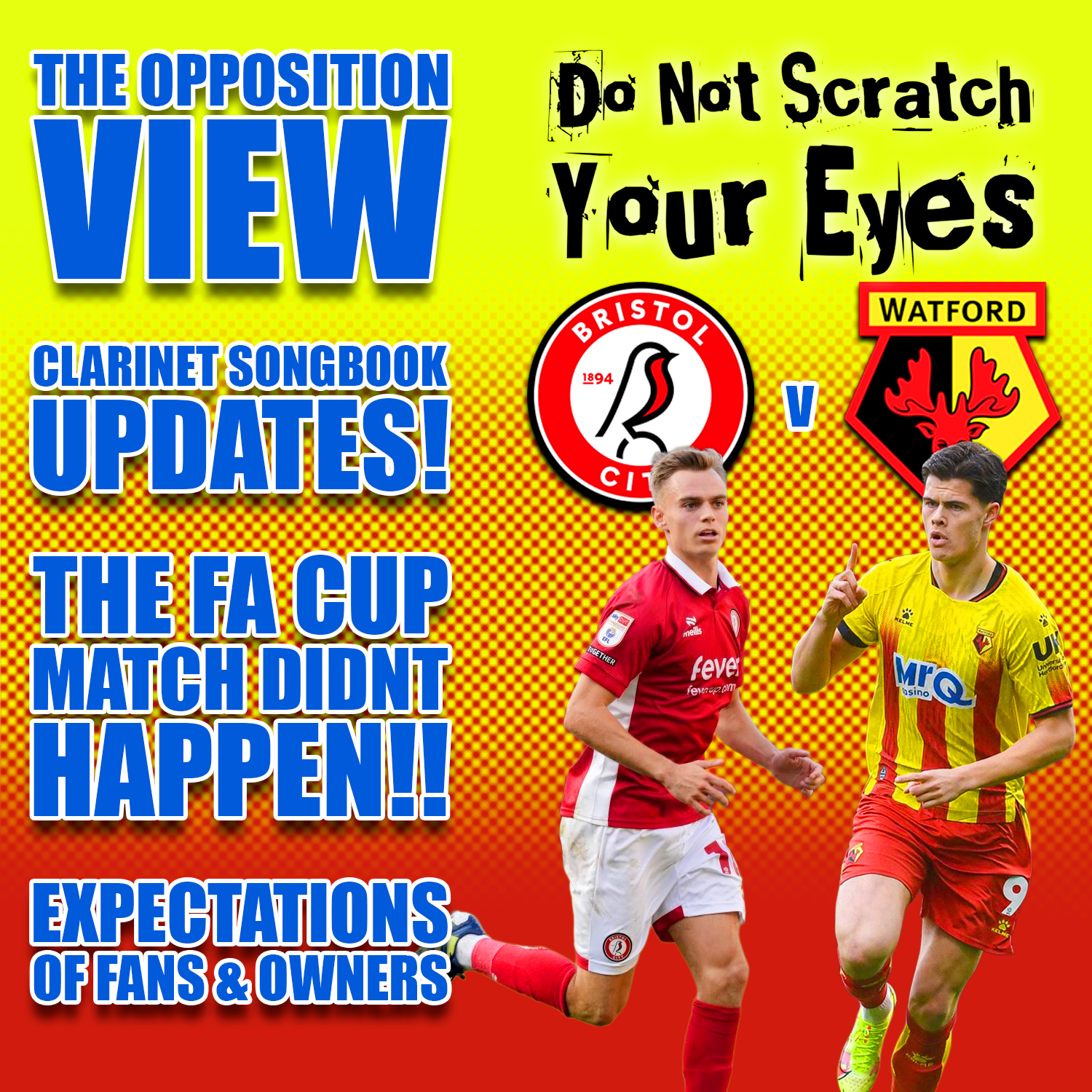 OPPOSITION VIEW - BRISTOL CITY (AWAY)