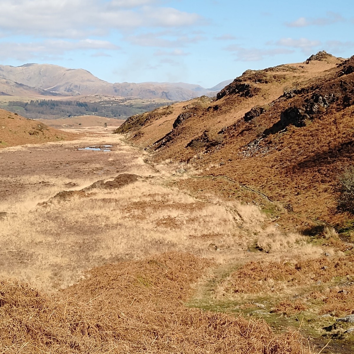 Sound Escape 112: Relax to the gentle babble of spring in the Lake District