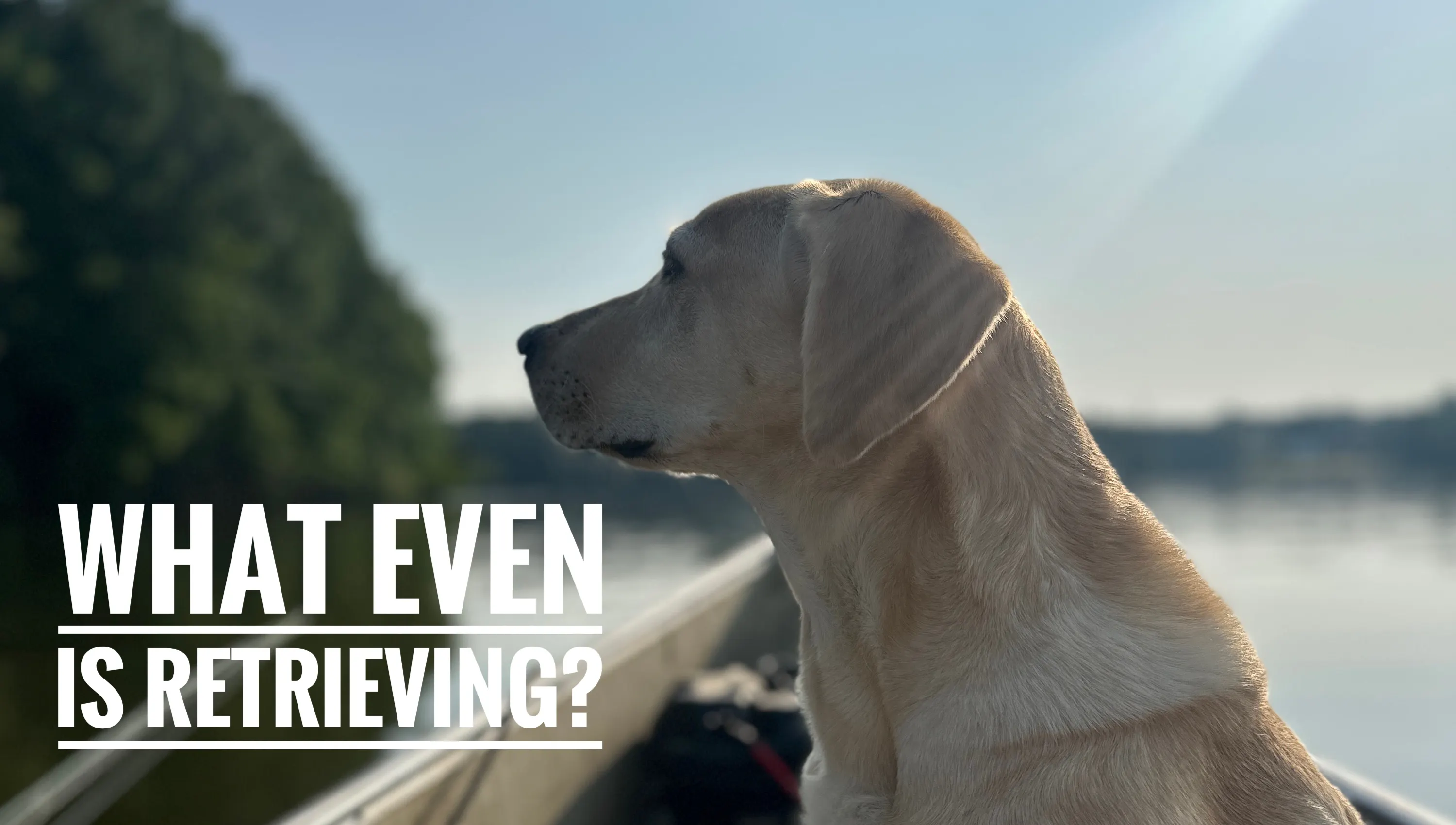 What Even is Retrieving? episode artwork