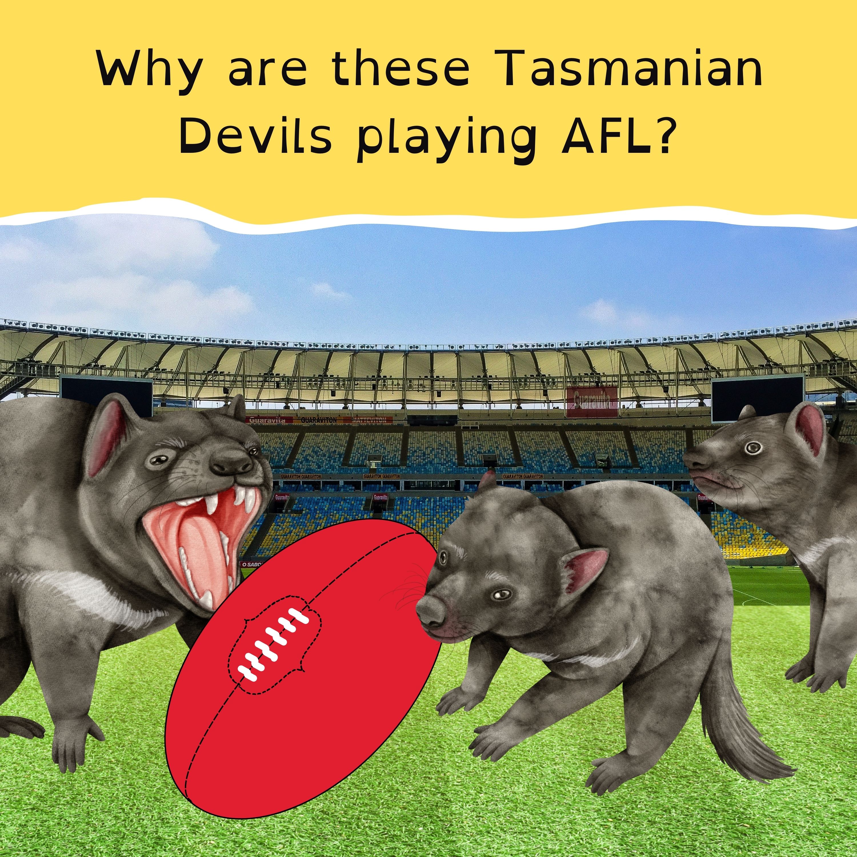 A fifth cyclone this season; sunken treasure to see the light; help for penguin parents; and the Tassie Devils tackle the AFL.