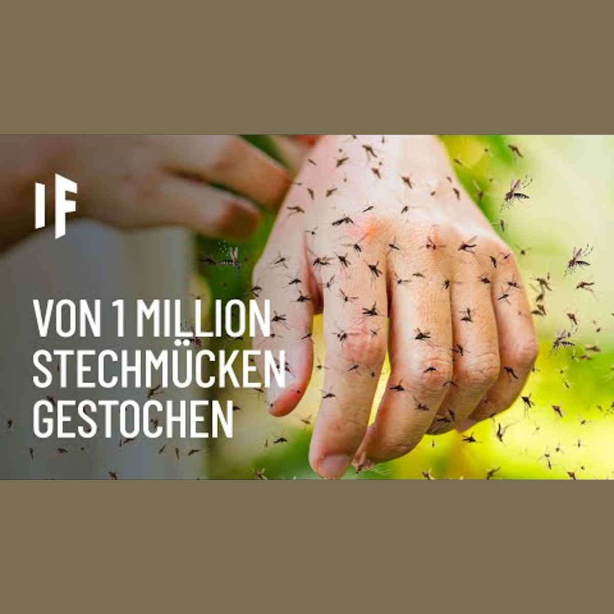 Was wäre, wenn du von einer Million Mücken gestochen würdest? episode artwork