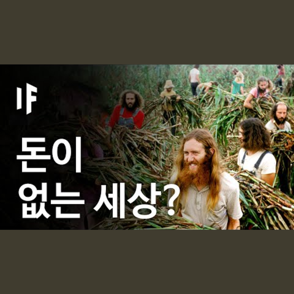 만약에 돈이 존재하지 않는다면? | 만약에 What If Korea episode artwork