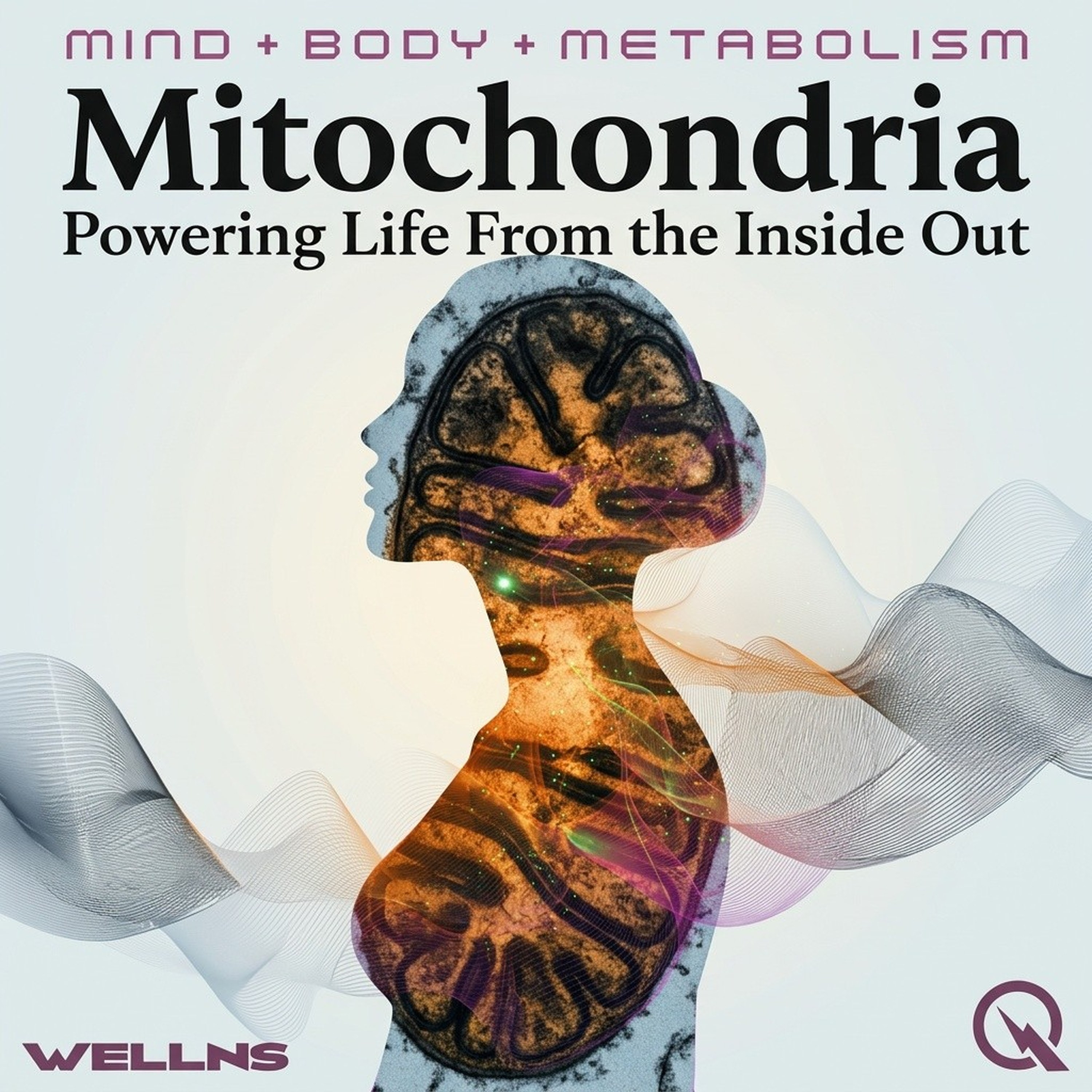 Mitochondria
