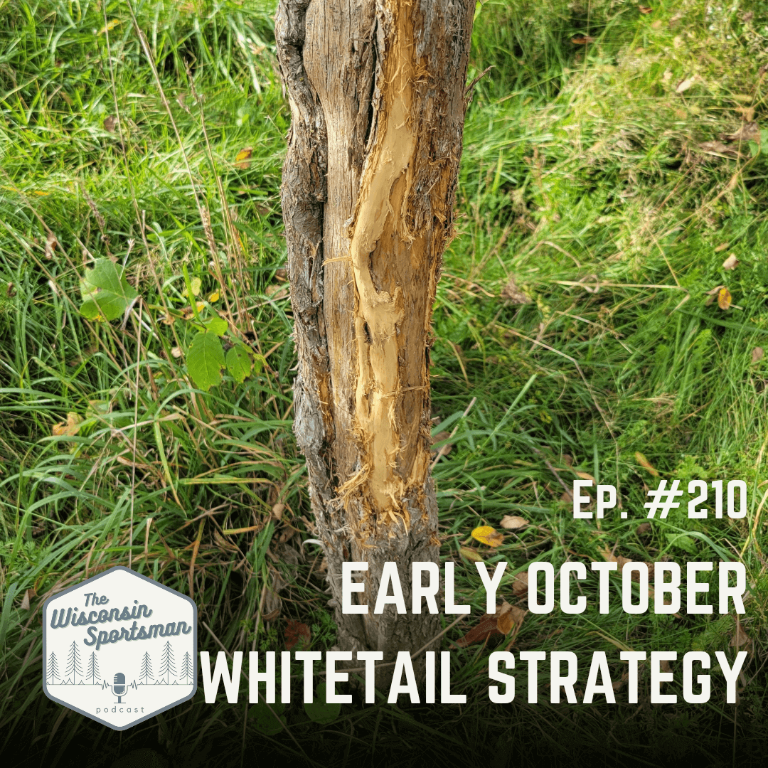 Wisconsin Sportsman - Early October Whitetail Strategy