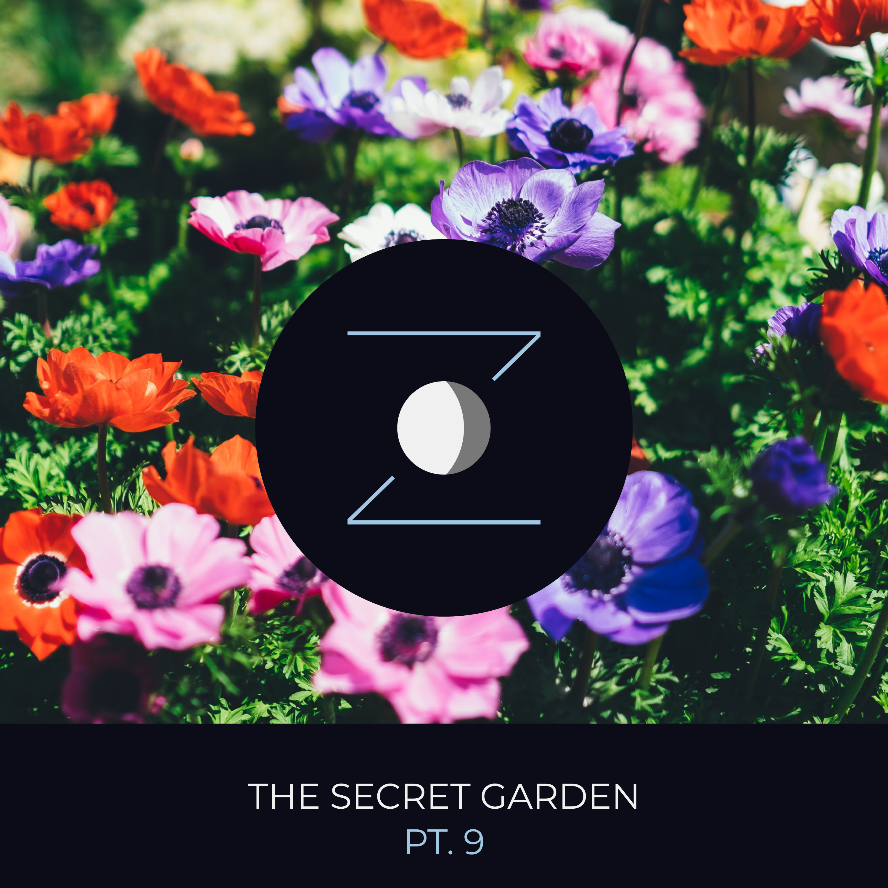 The Secret Garden pt. 9 episode artwork