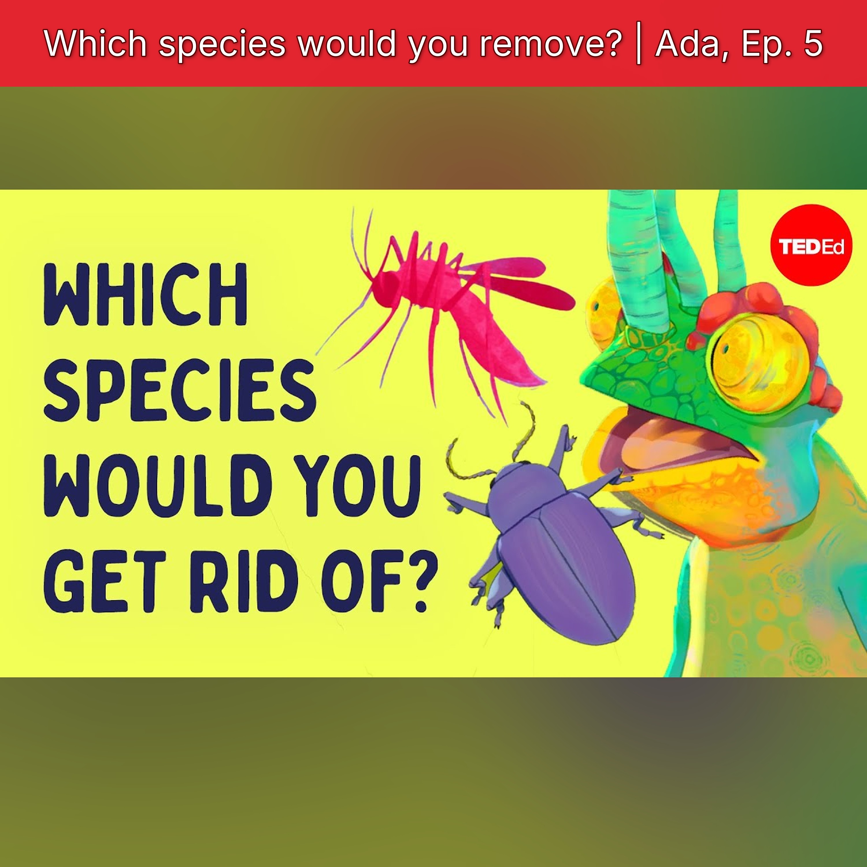 Which species would you remove? | Ada, Ep. 5 episode artwork