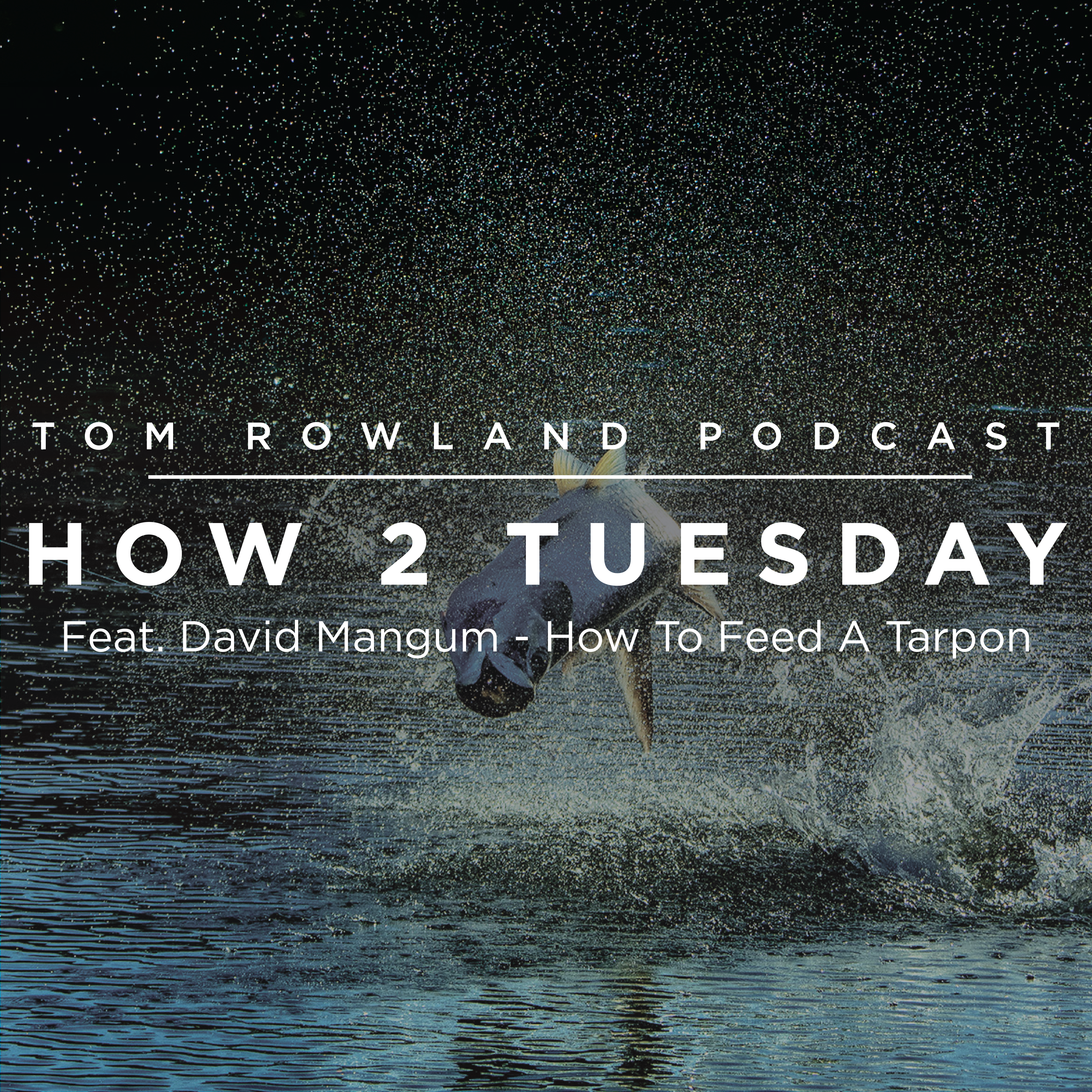 HOW 2 TUESDAY #30 - Feat. David Mangum How To Feed A Tarpon
