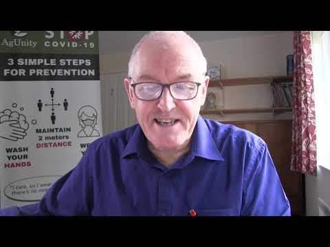 New Pfizer drug and ivermectin