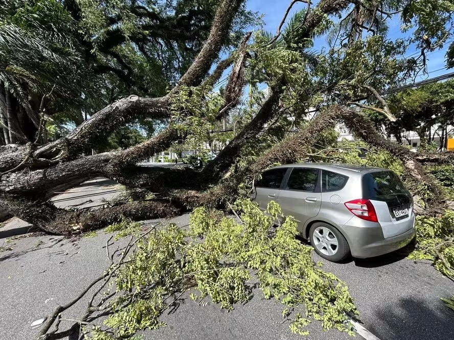 'Resposta da distribuidora foi absolutamente inaceitável', diz presidente da Frente Nacional dos Consumidores de Energia