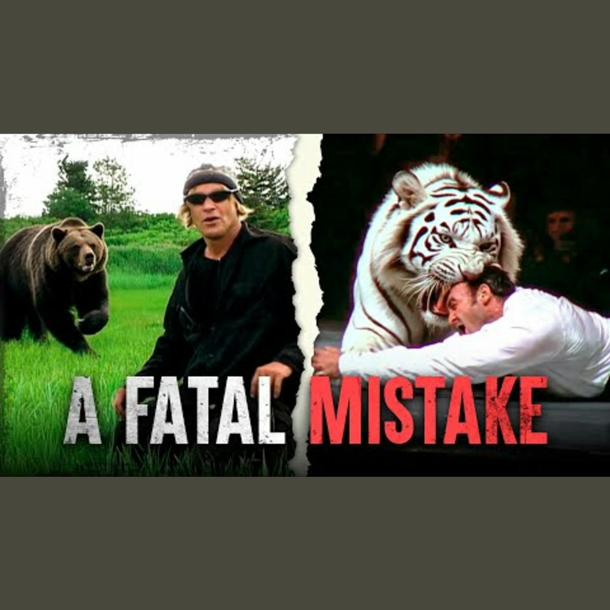 Tragic Events: Avoidable Disasters Unveiled Tragic Events: Avoidable Disasters Unveiled