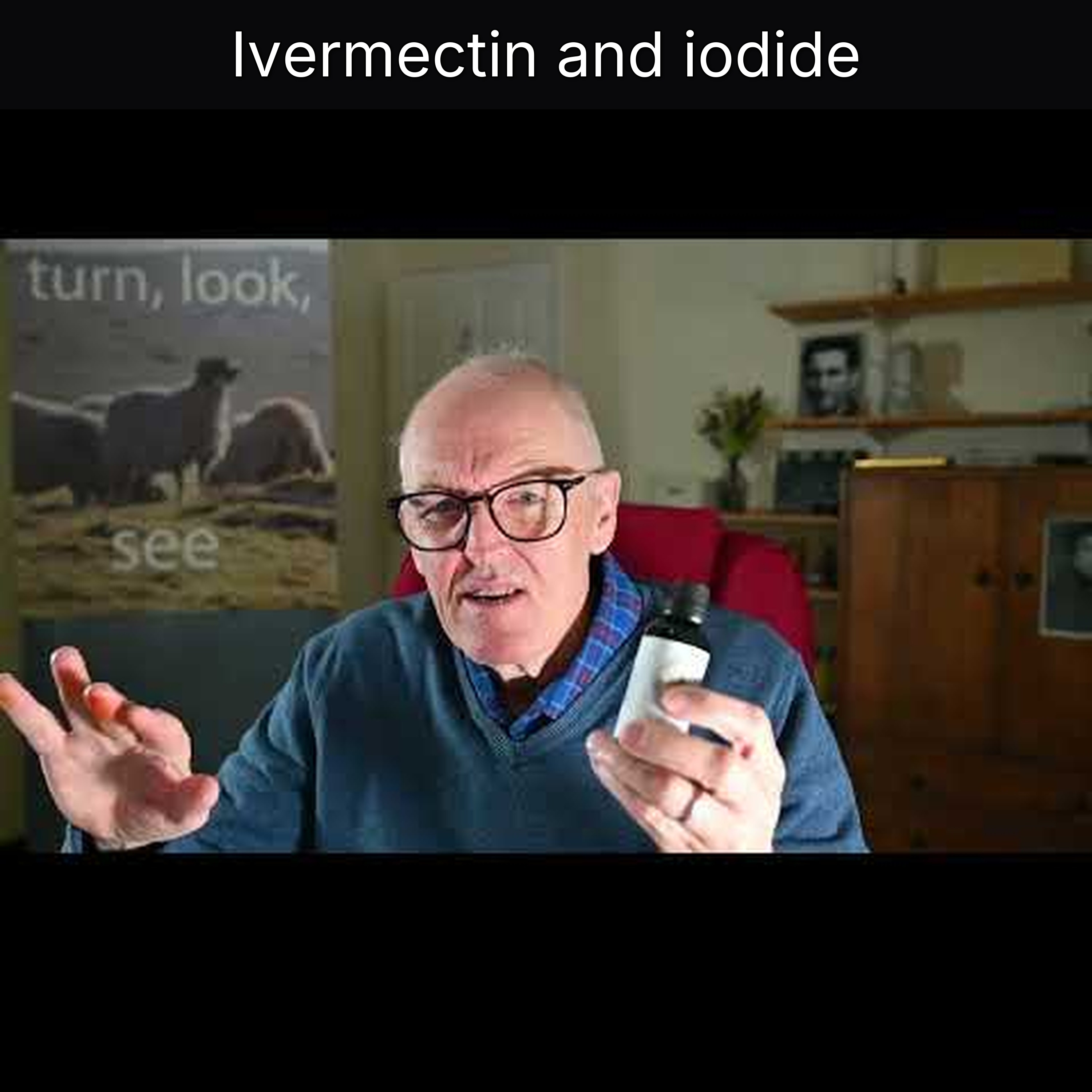 Ivermectin and iodide