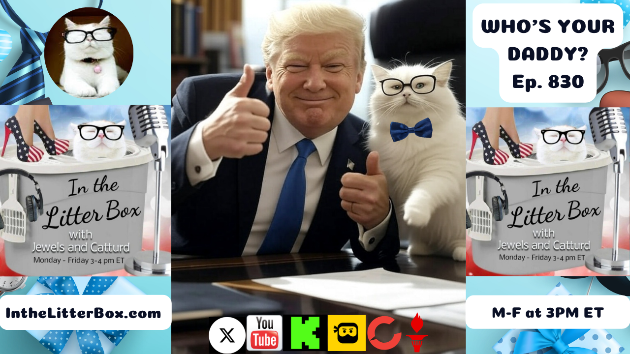 WHO'S YOUR DADDY? | In the Litter Box w/ Jewels & Catturd – Ep. 830 – 6/26/2025