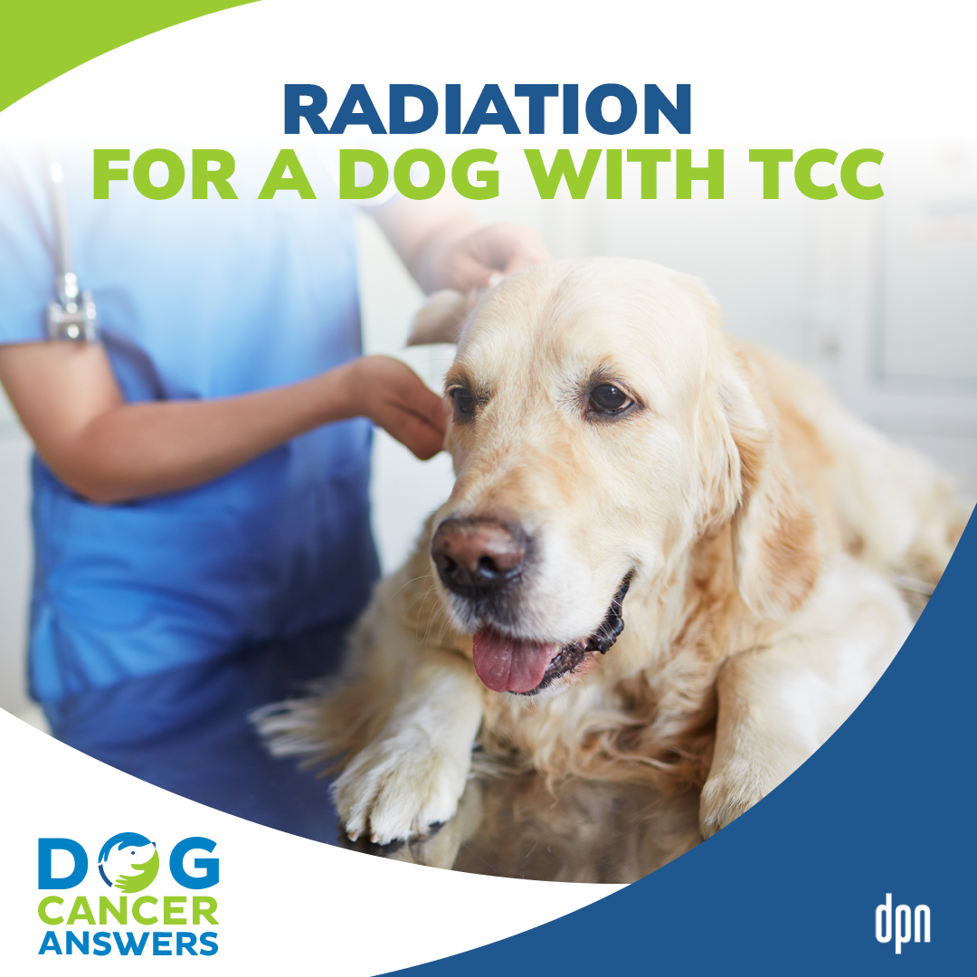 Radiation for a Dog with TCC | Dr. Megan Duffy #246