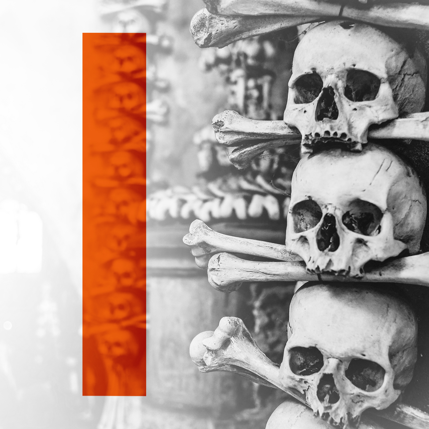 The Treasure Hunter part 3