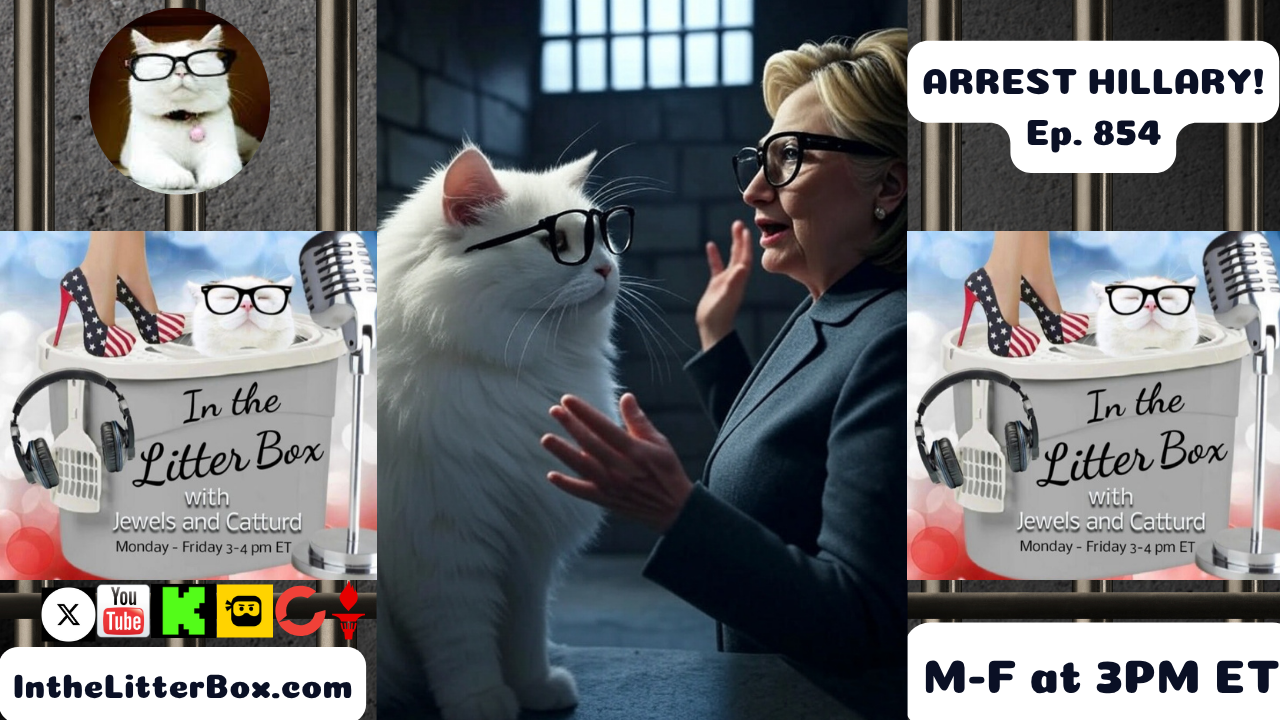 ARREST HILLARY! | In the Litter Box w/ Jewels & Catturd – Ep. 854 – 8/1/2025