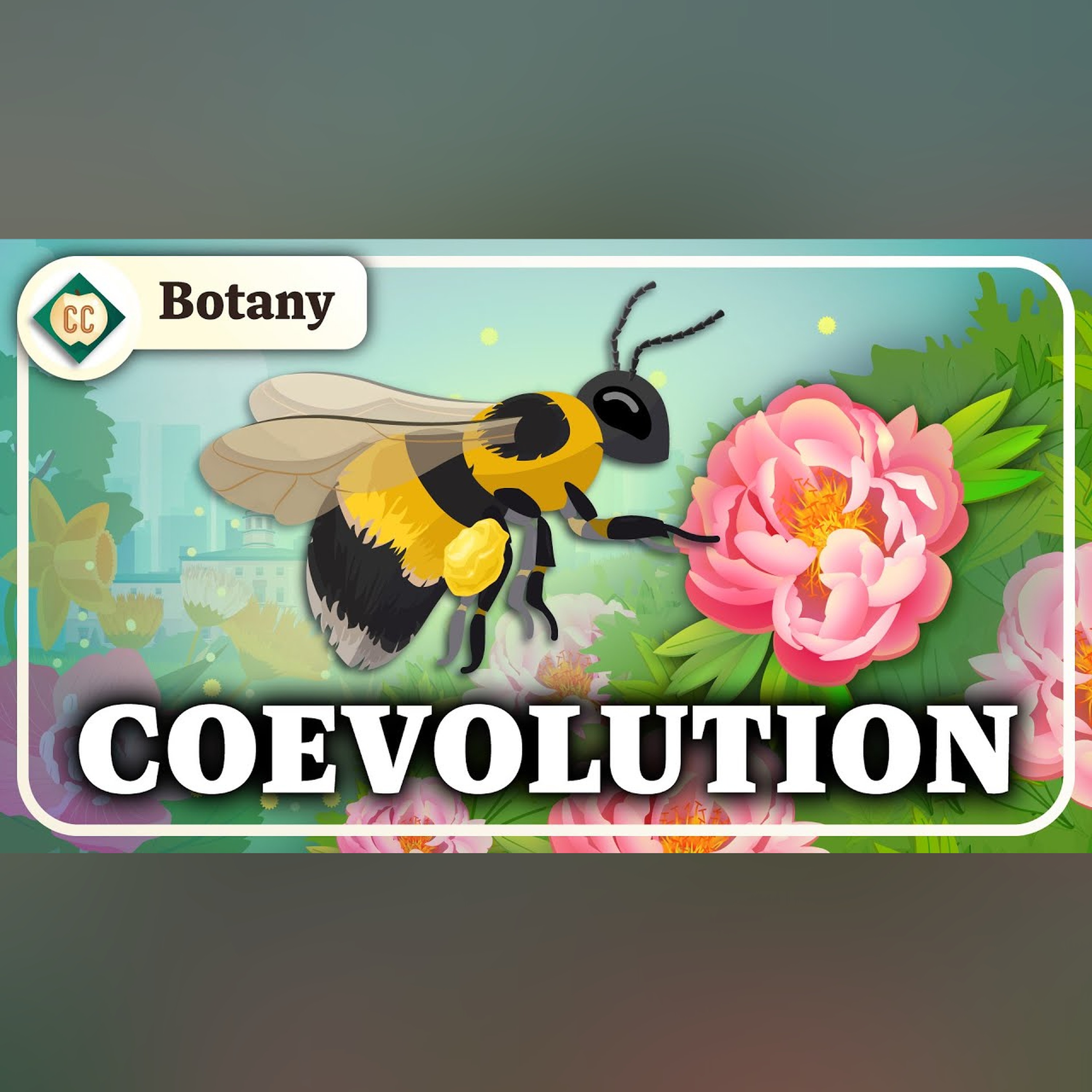 Why Do Flowers Exist? (Gymnosperms and Angiosperms): Crash Course Botany #9