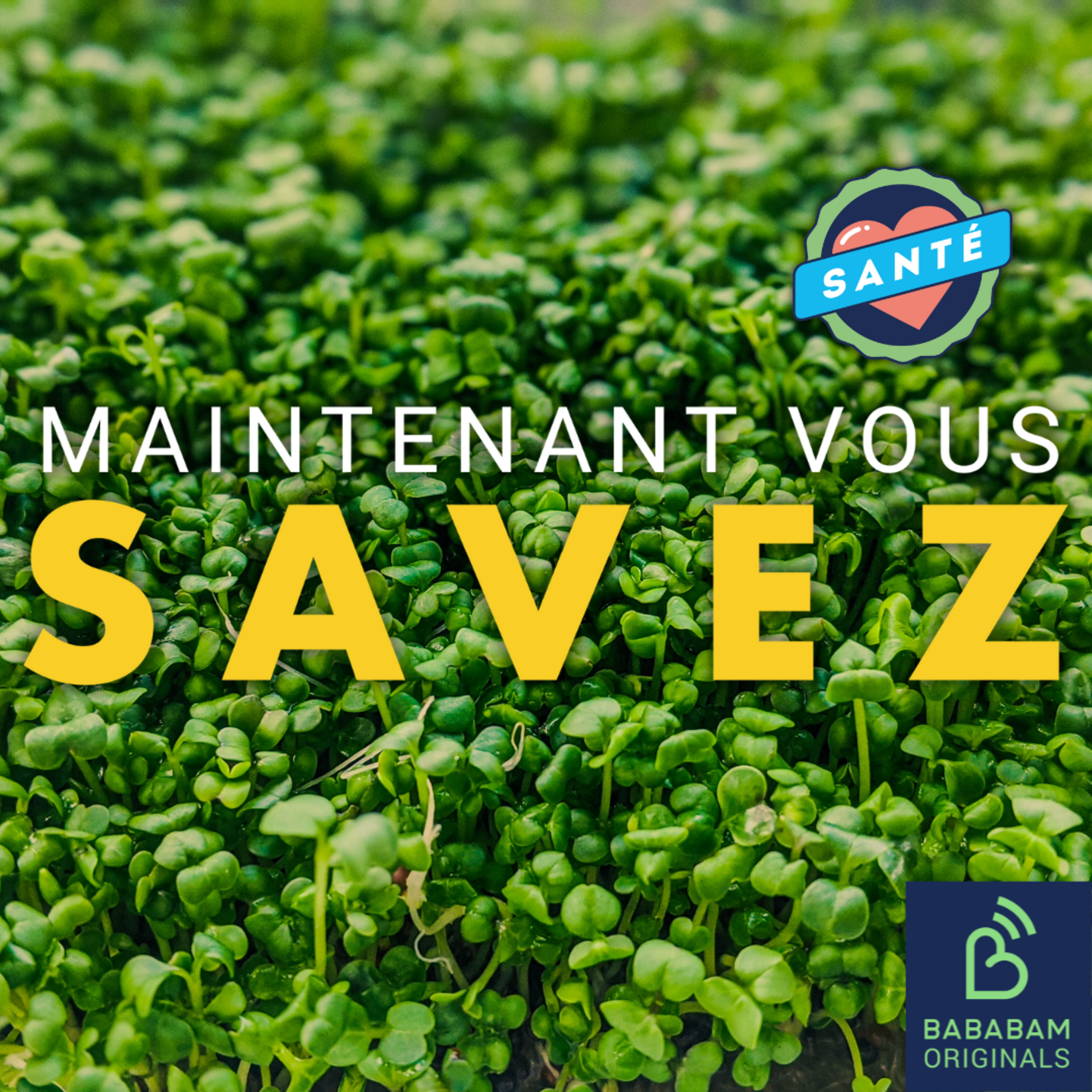 Quels sont les 10 aliments les plus sains ?