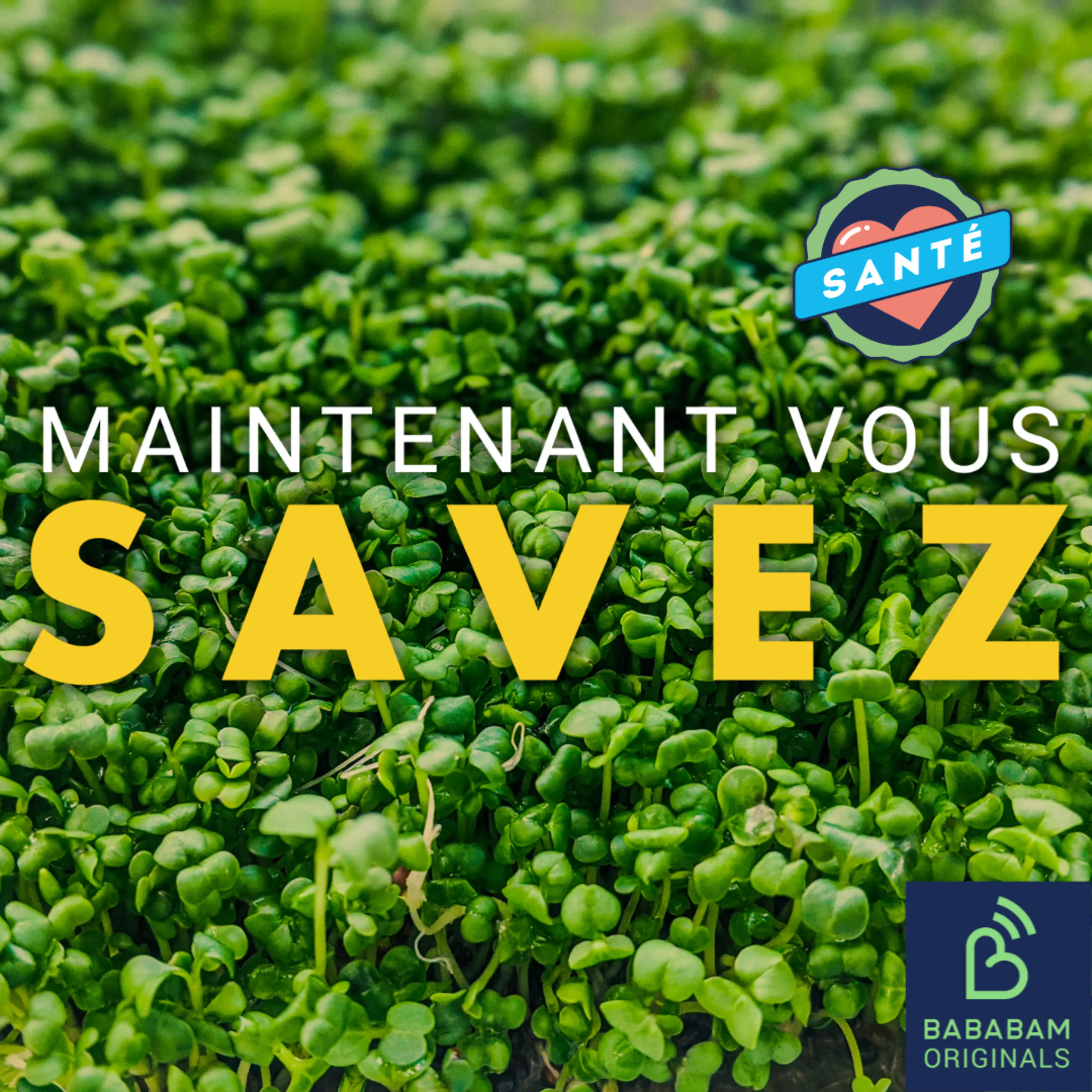 Quels sont les 10 aliments les plus sains ?