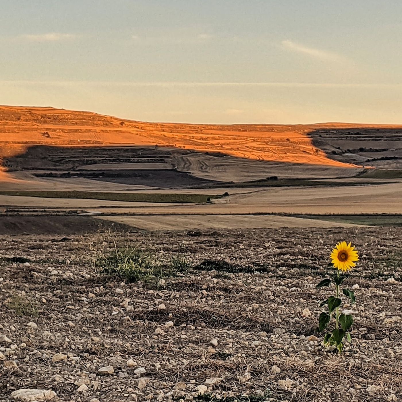 My Camino - the podcast