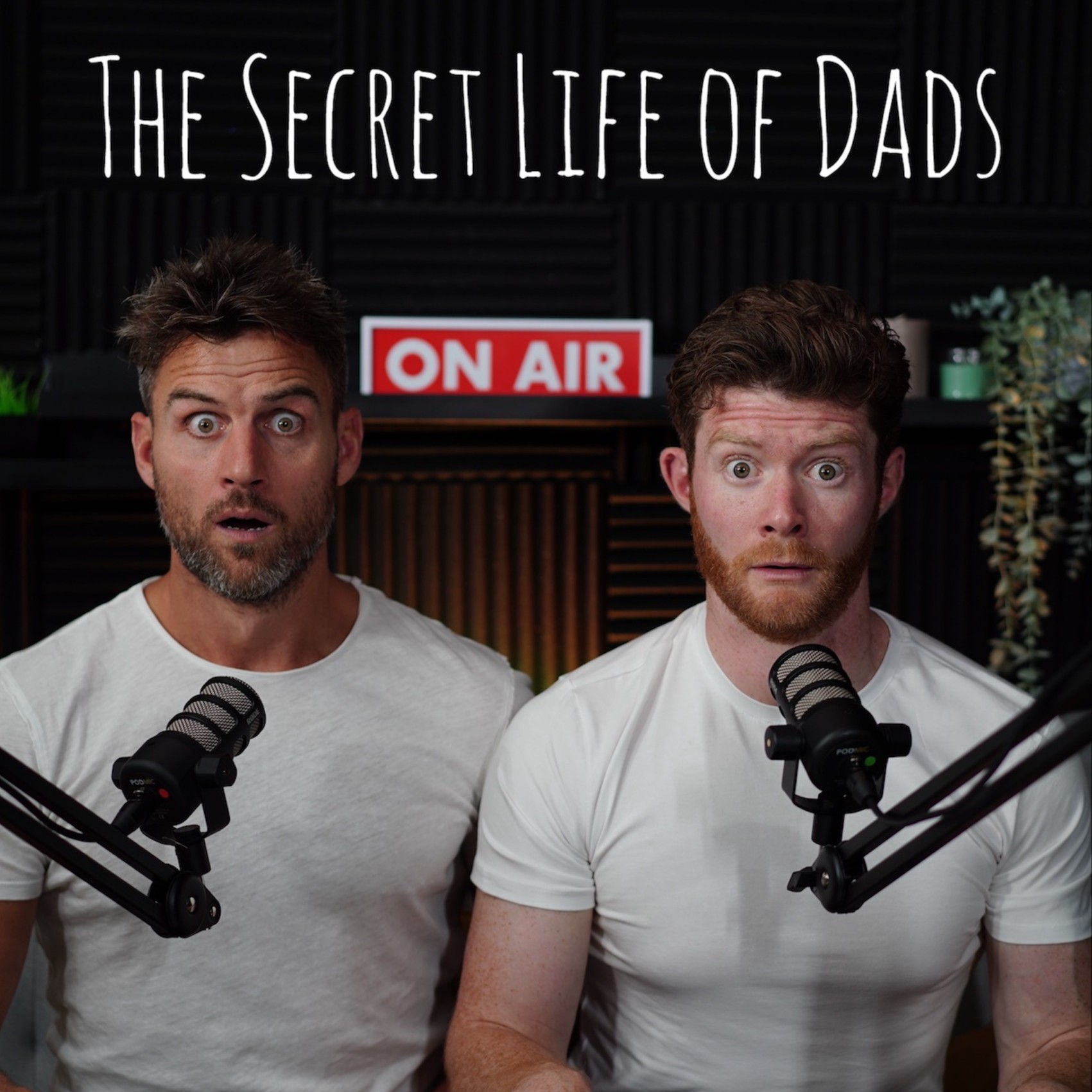 The Secret Life of Dads Podcast