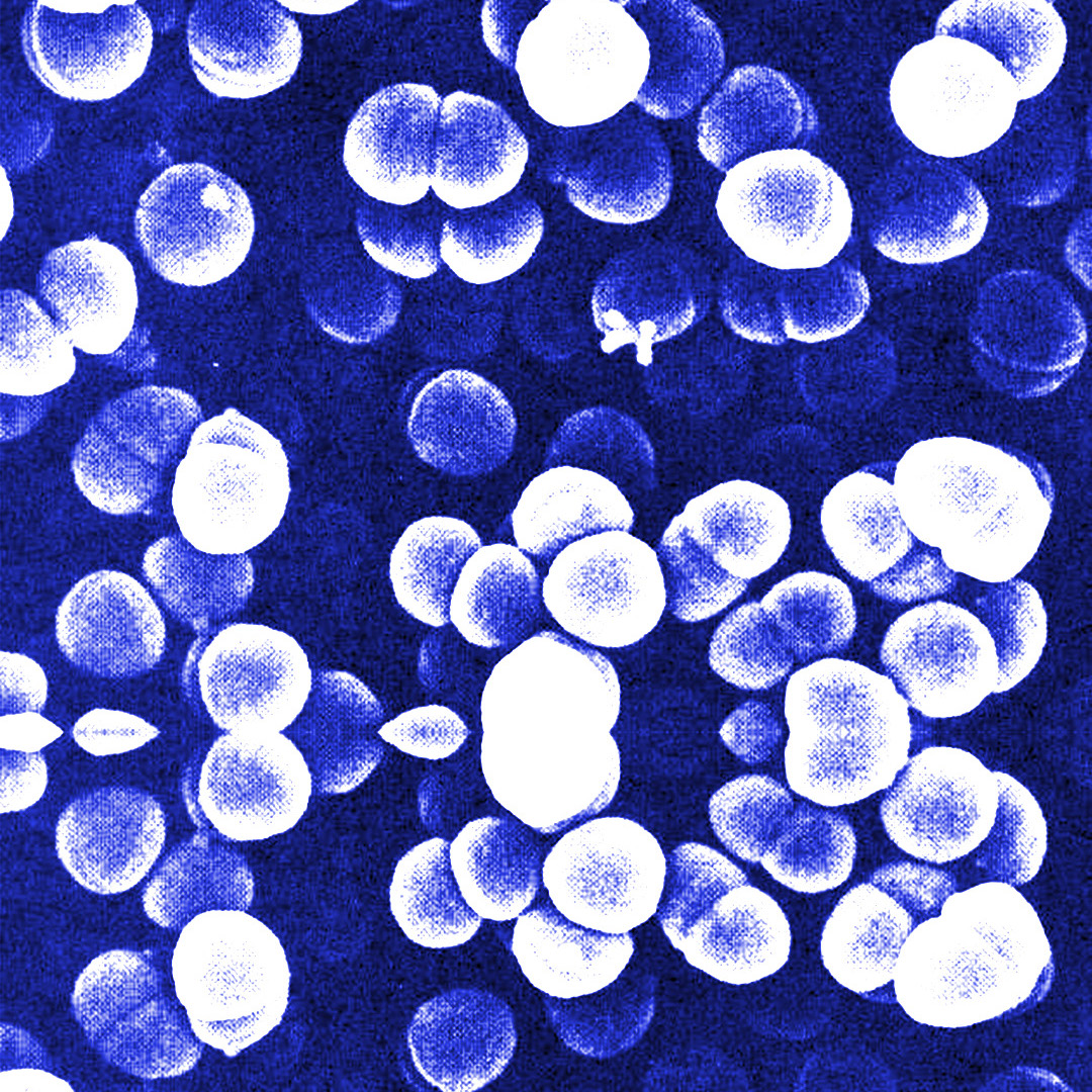 Hacia lo propio y hacia lo ajeno